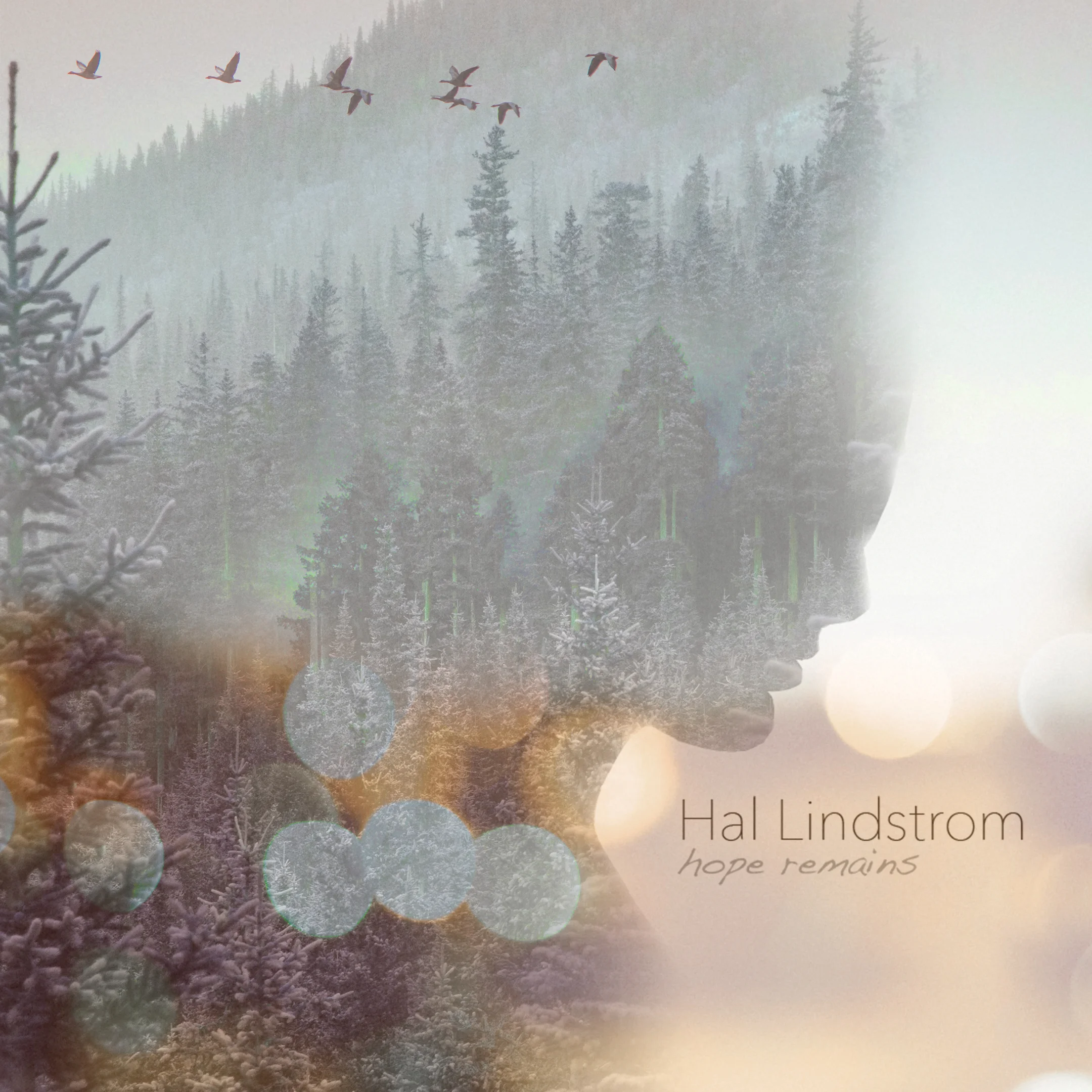 Hal_HopeRemains_AlbumcoverFinal_071818.jpg