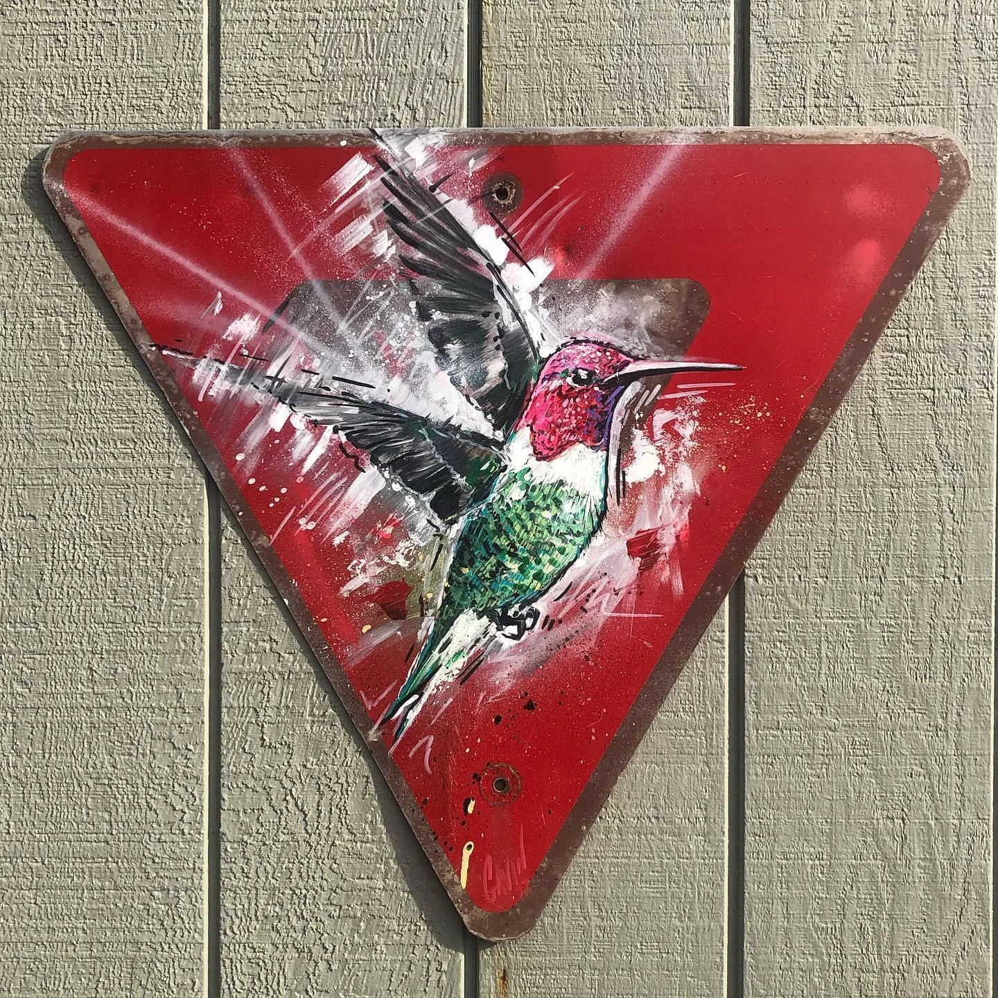 anna's_hummingbird.jpeg