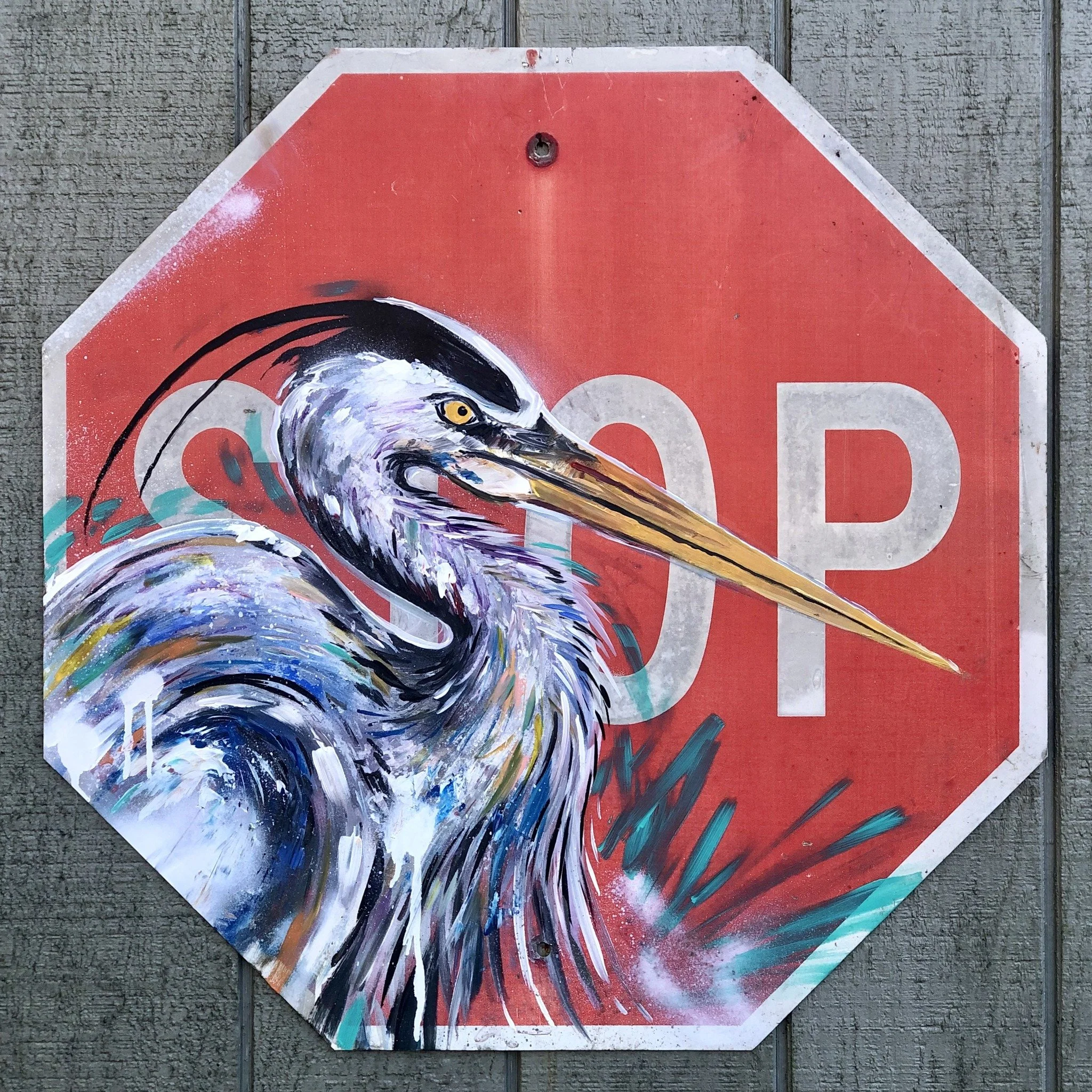 heron-1.jpeg