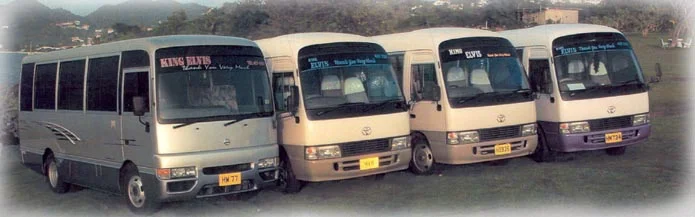 line of buses.jpg