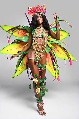 Tribal Deluxe Passion Exotica Complete Carnival Costume