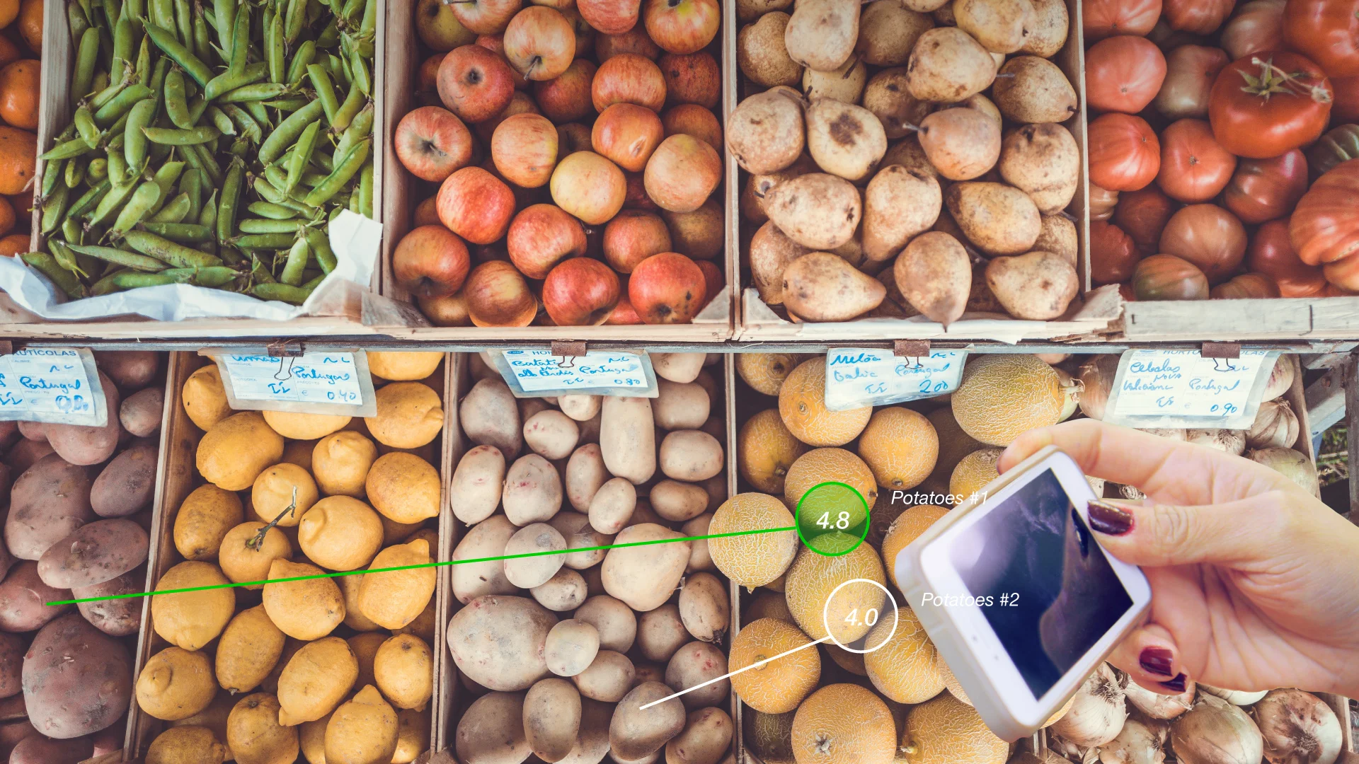 Which potatoes are the most eco-friendly?
