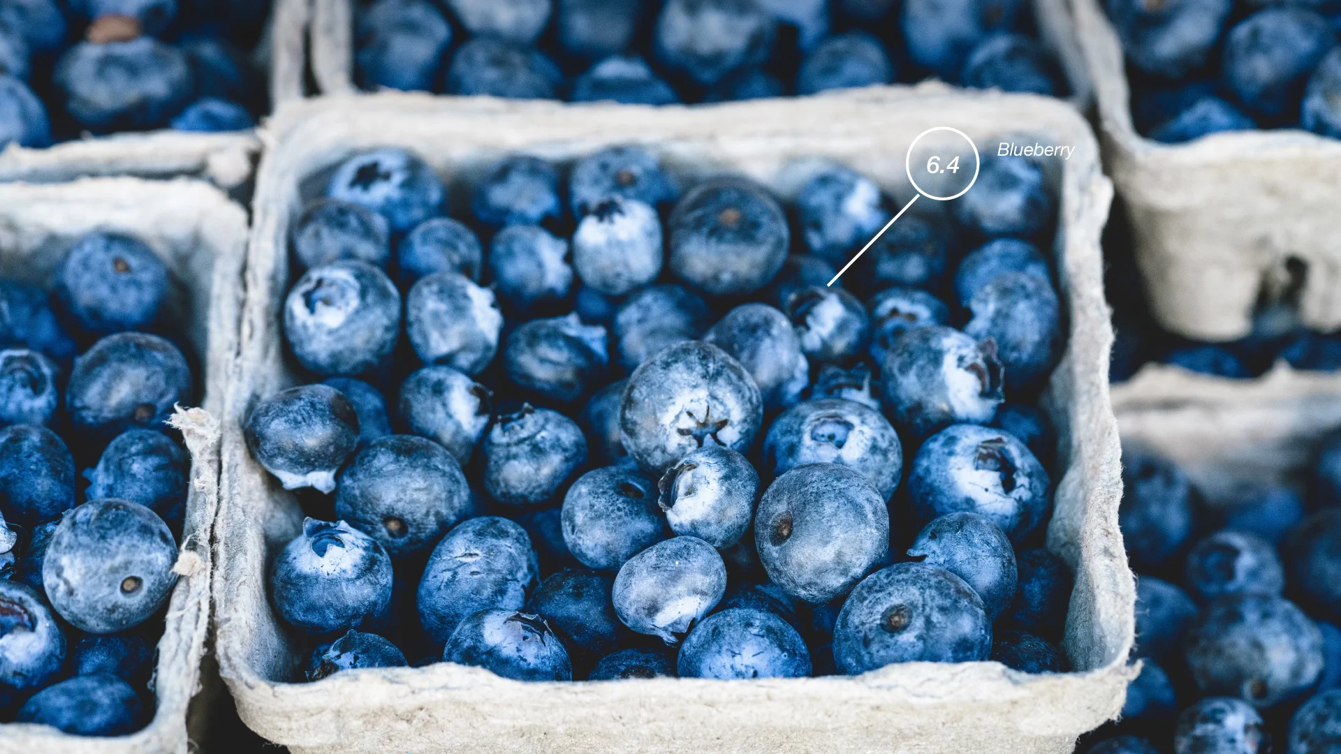 Are these blueberries sustainable?