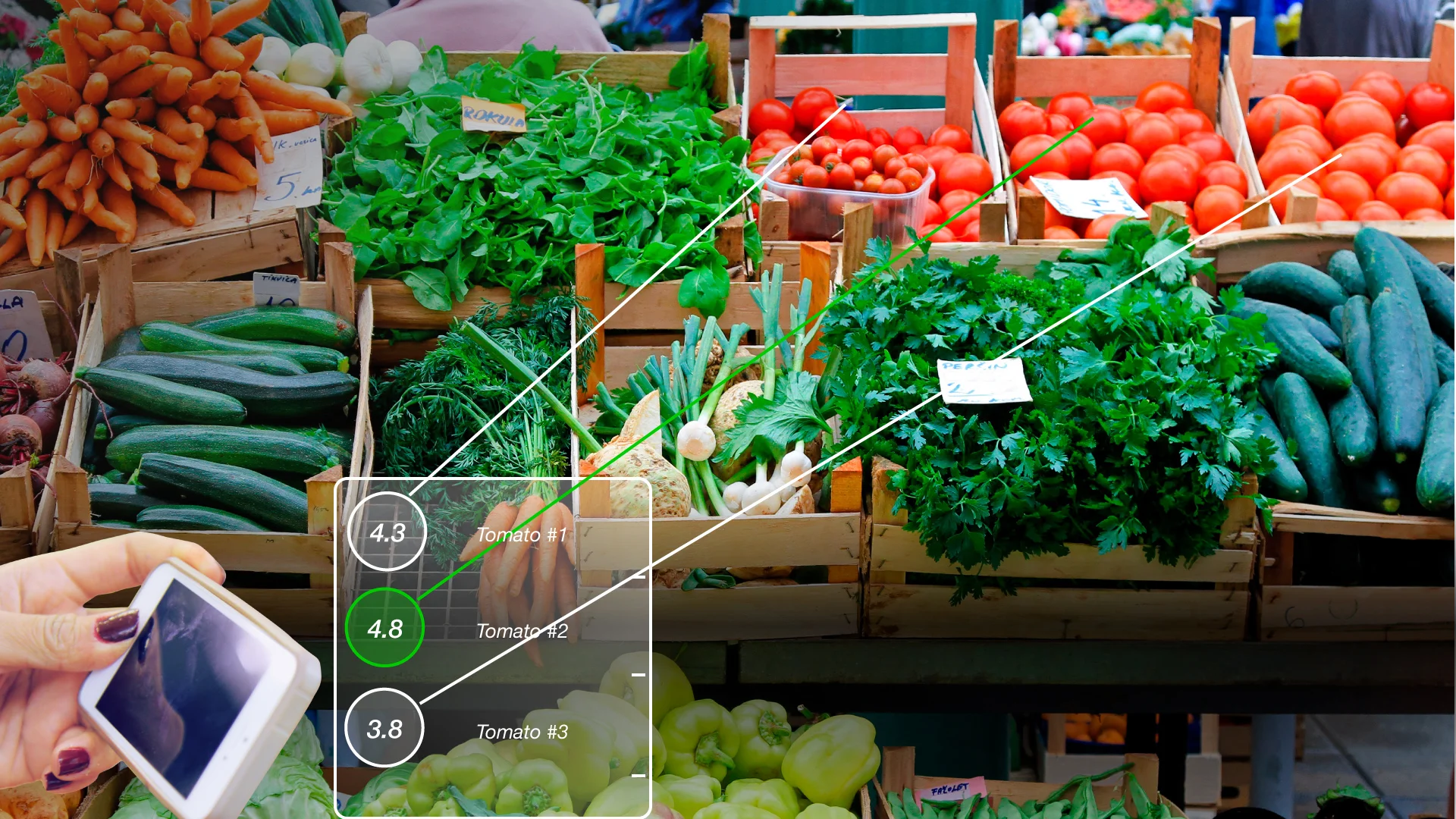 Which tomatoes are the greenest?