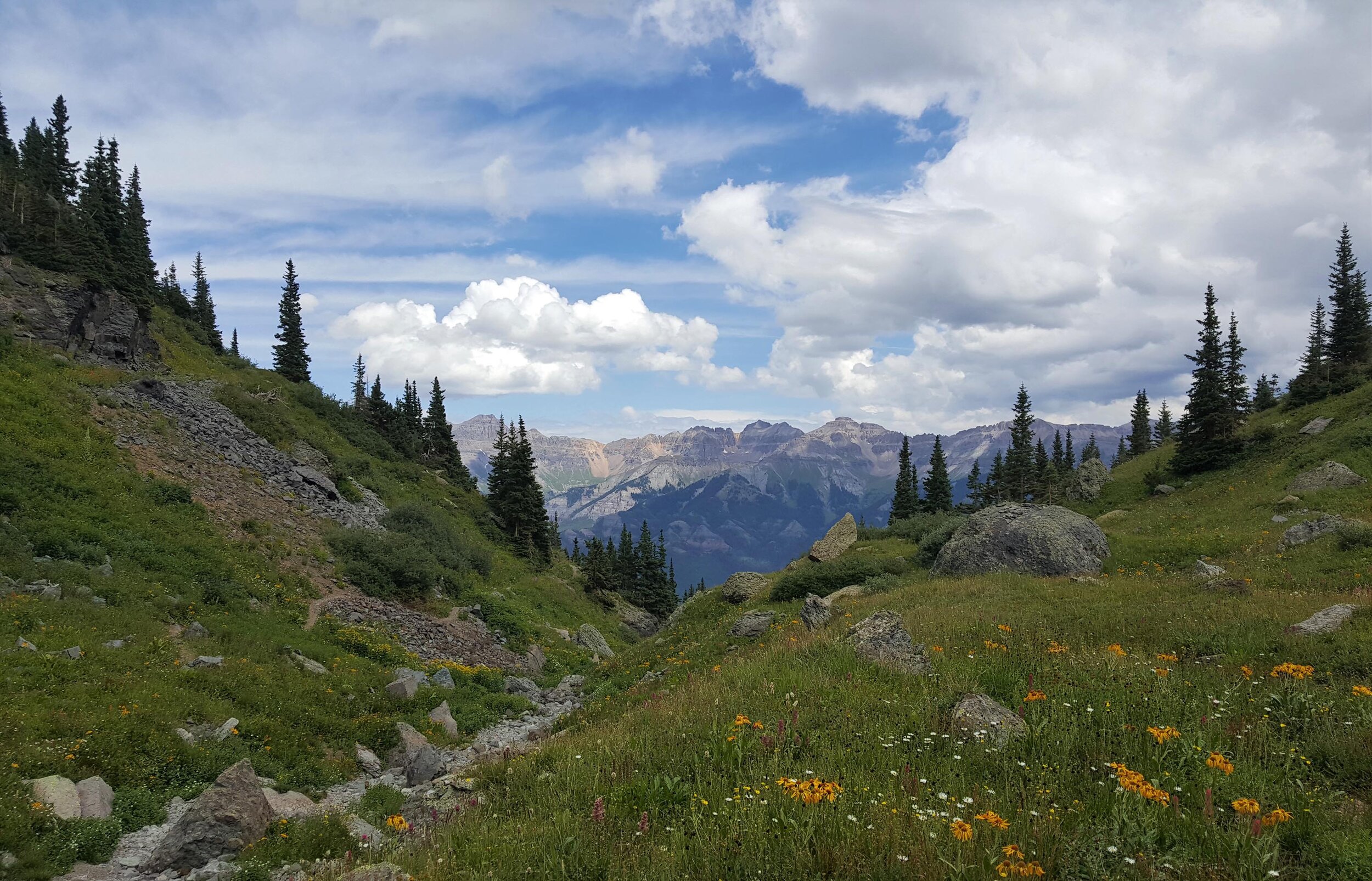 20160816_114933.jpg