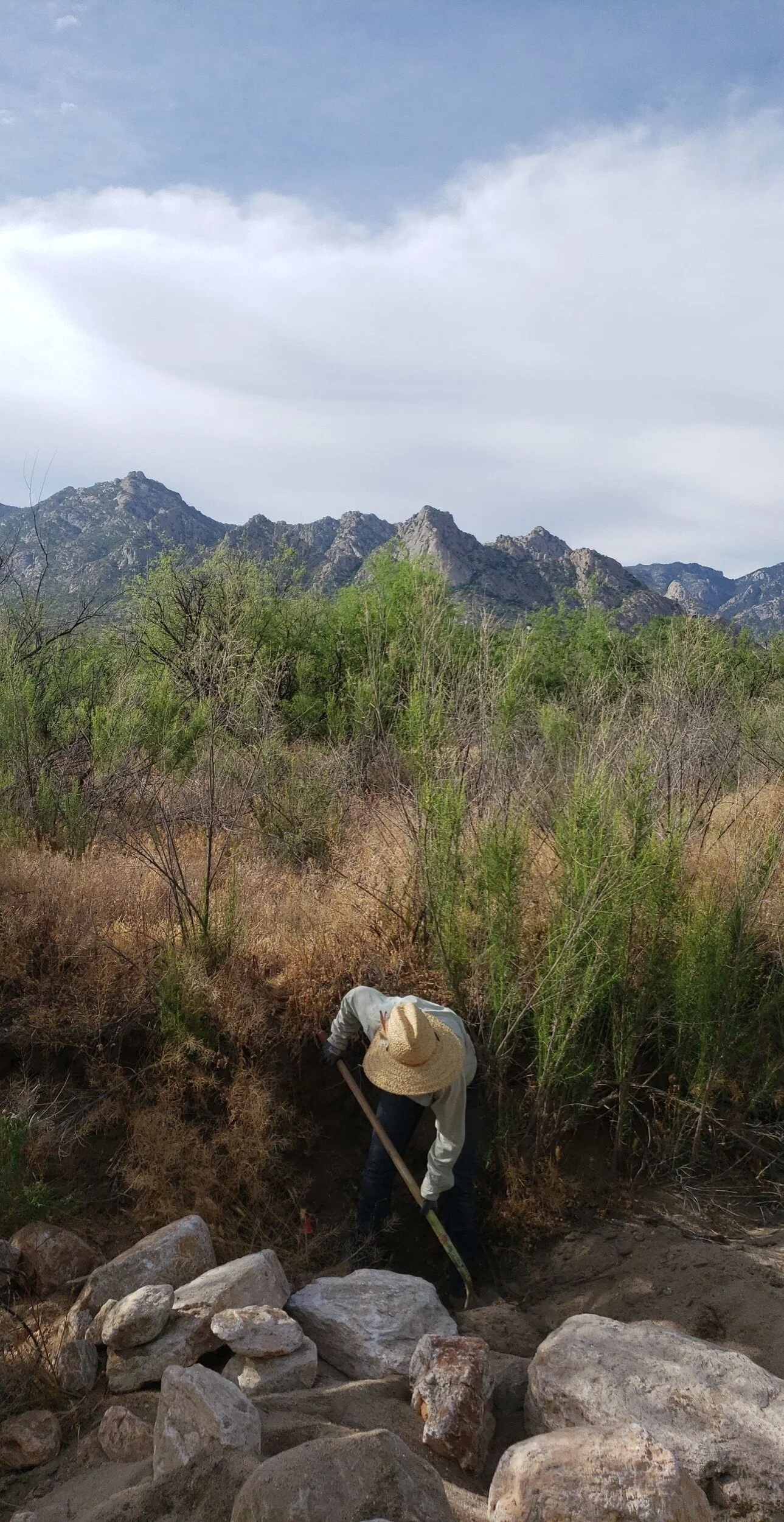 BAE07FC6-C6B9-4521-BFD7-DC19561782EC