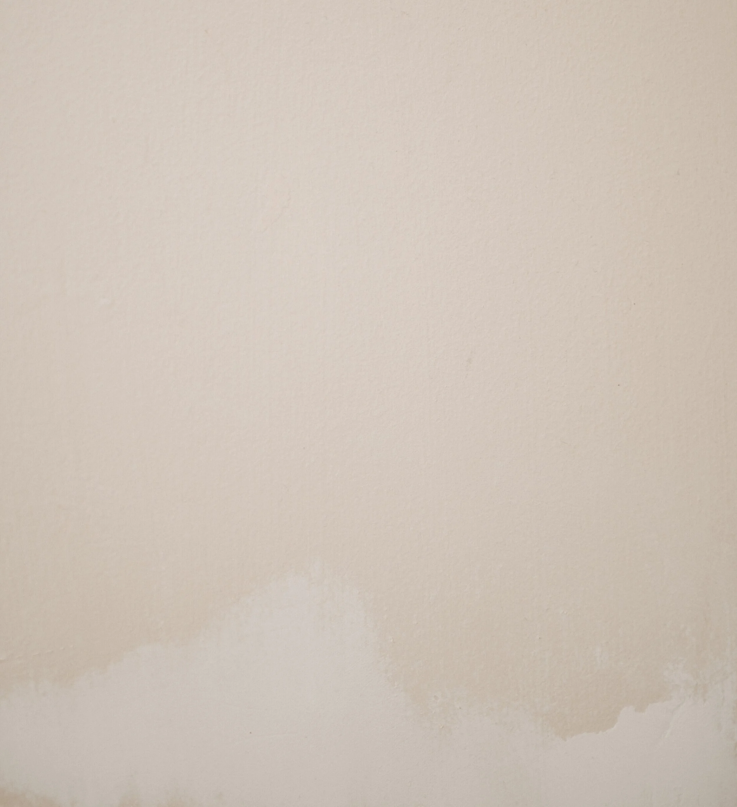 annie-spratt-YN9zG6nGvFI-unsplash.jpg