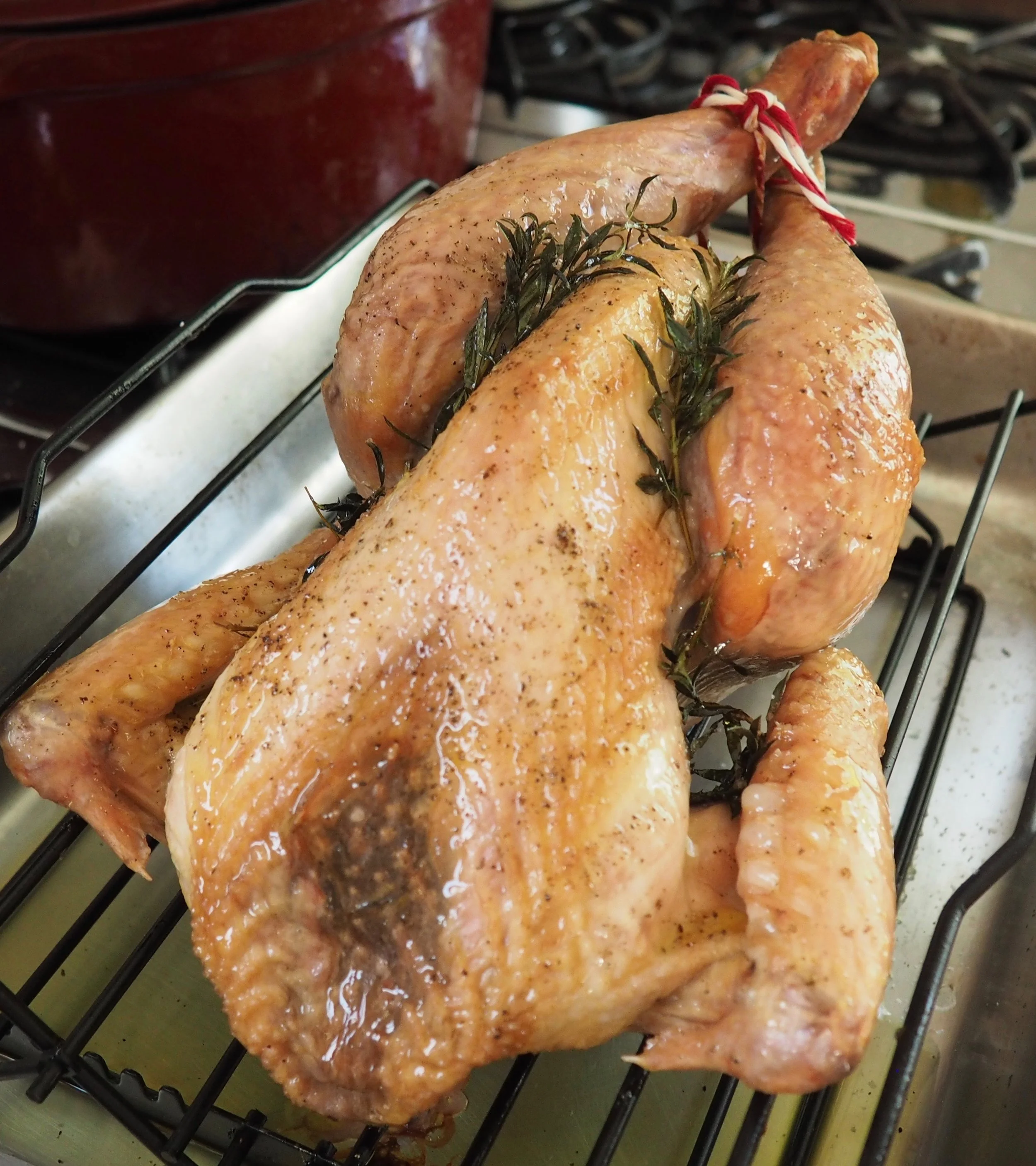 Roast Chicken with Herbs and Garlic