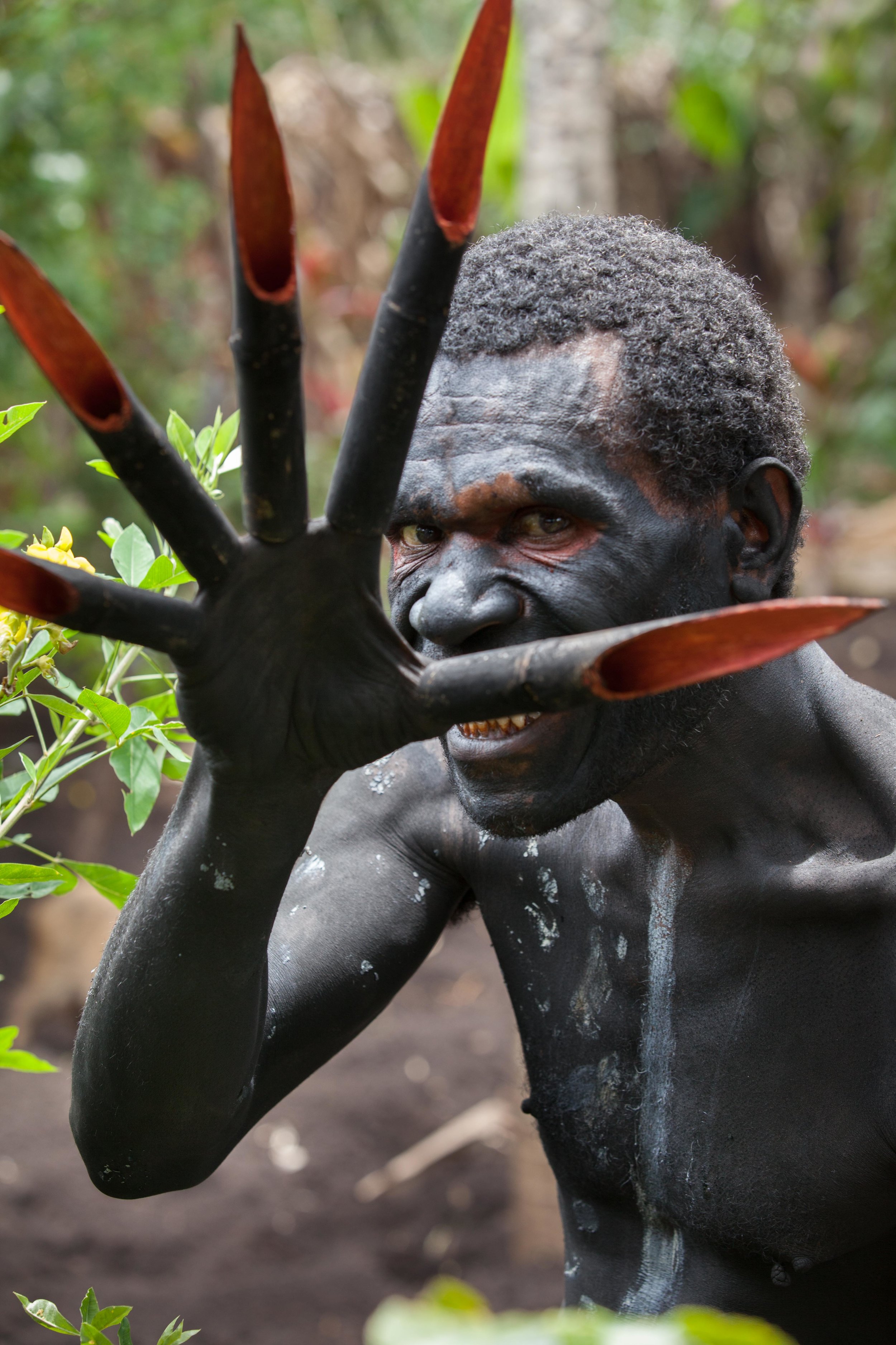 Sharpened bamboo claws are an integral part of the Nokondi Spirit Dance costume. Eastern Highland province