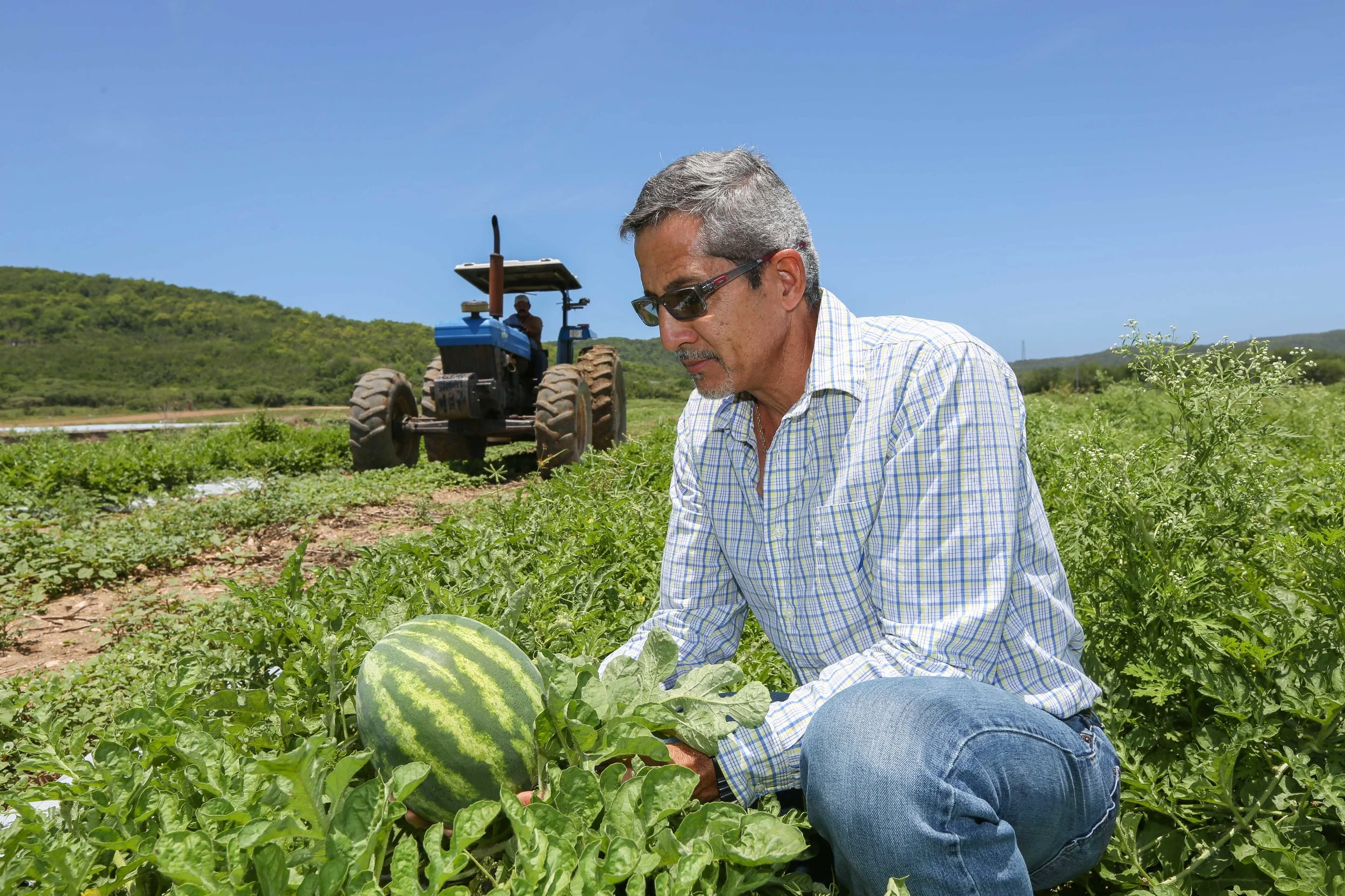 Caribbean Produce Exchange destaca productos que “Son de Aquí” — The Media Scoop