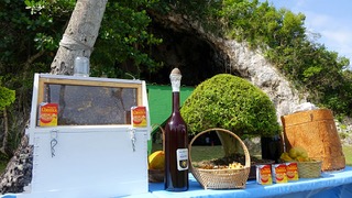 IMG_20170822_100254.jpg