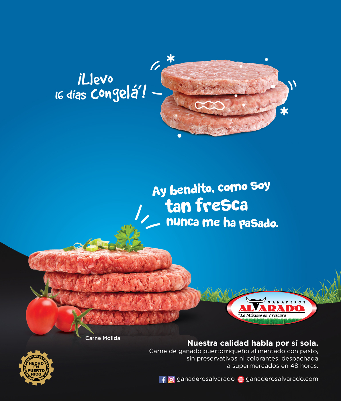 GAN_Campaign_02-1.jpg