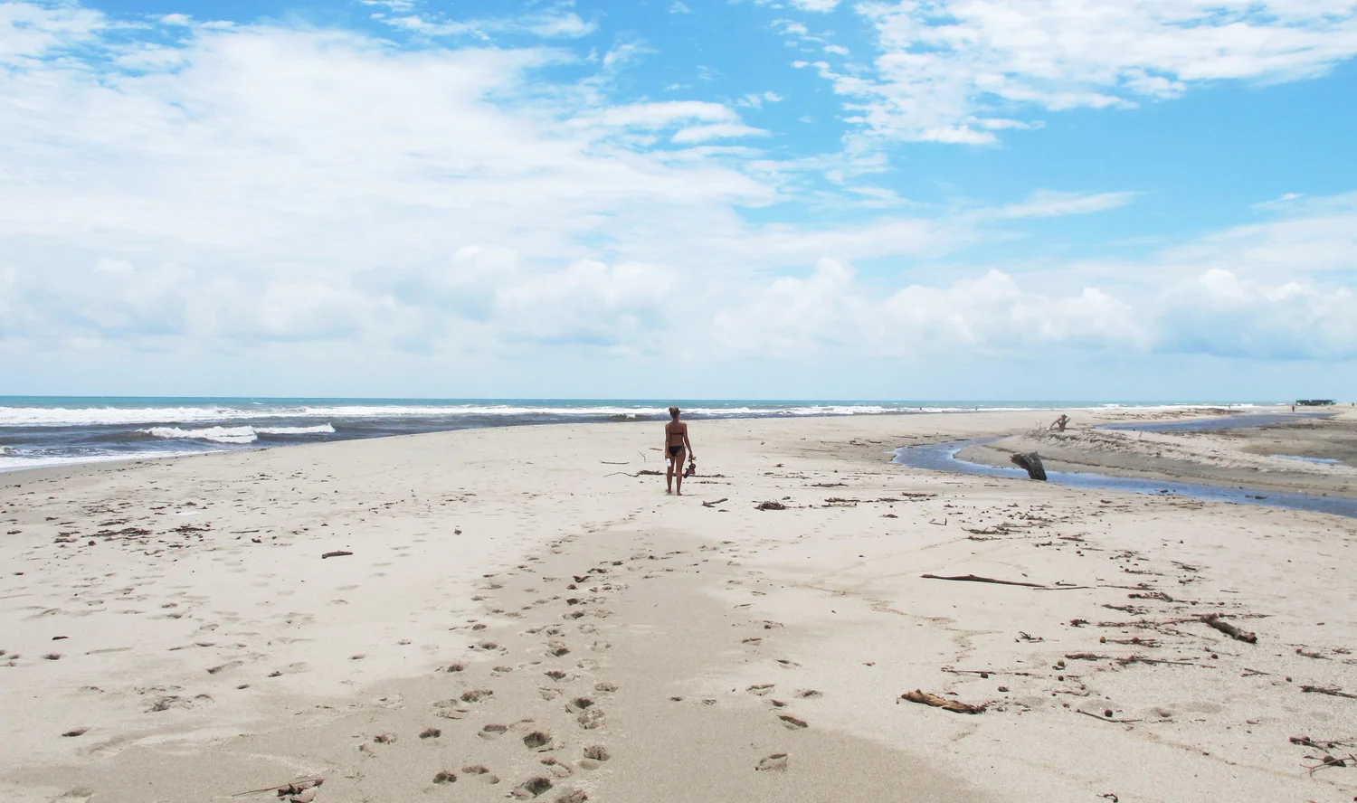 beach.jpeg