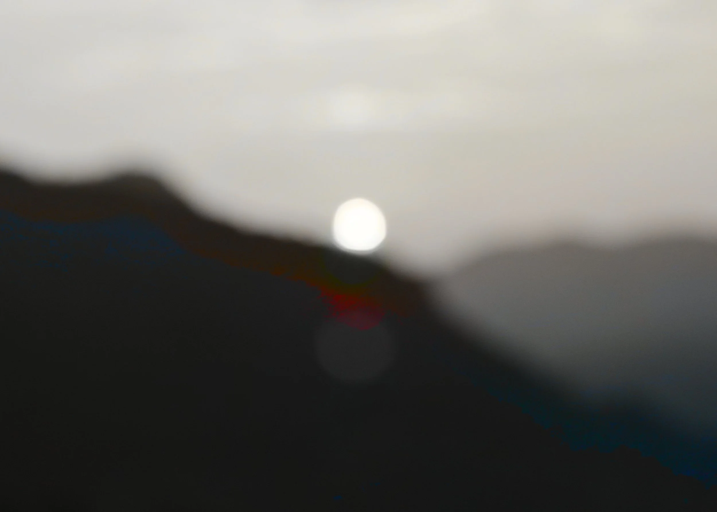 Landscape 1.1 (Xilitla)