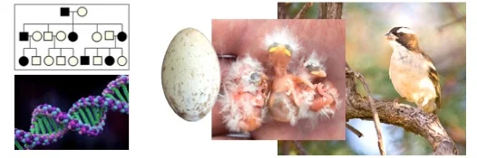 Genes & Environment.jpg