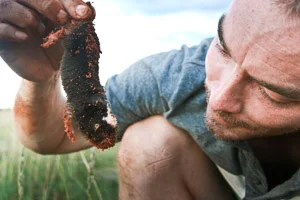 Mole (1 of 1).jpg