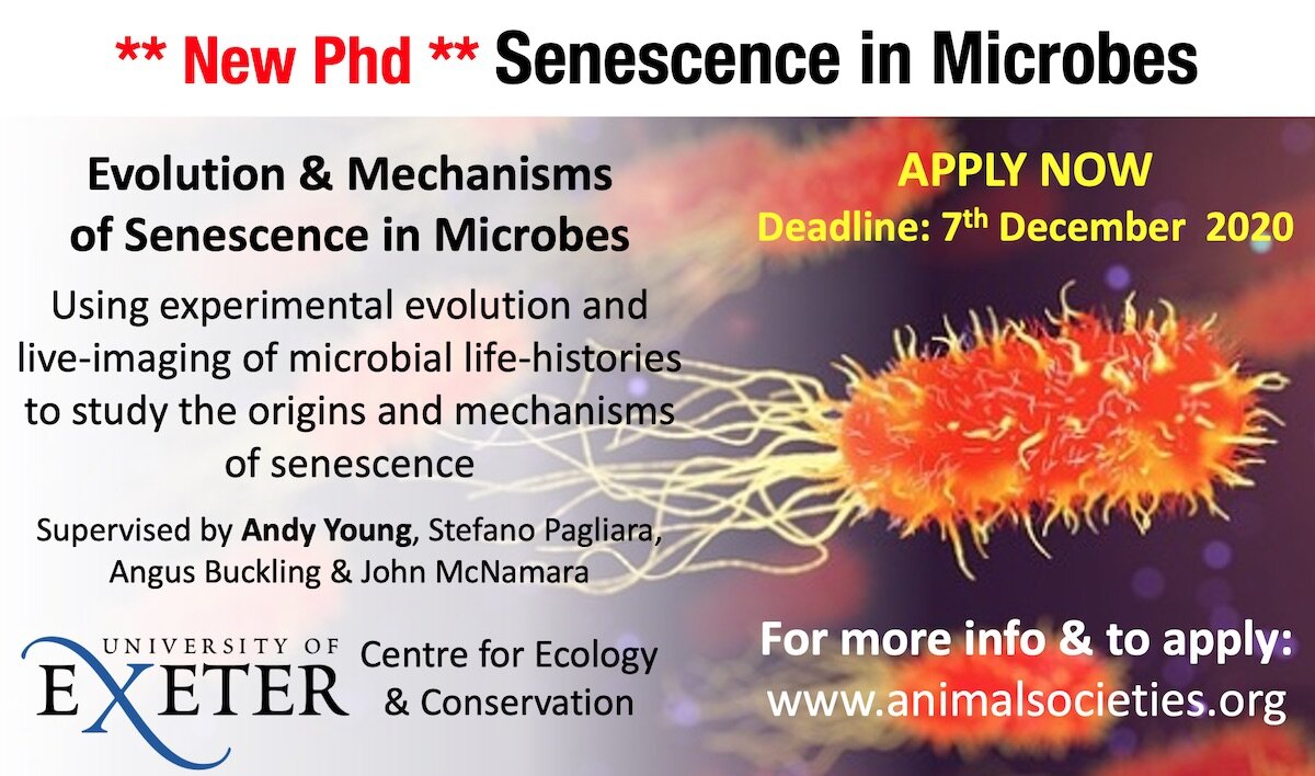 Bacterial Senescence PhD.jpg