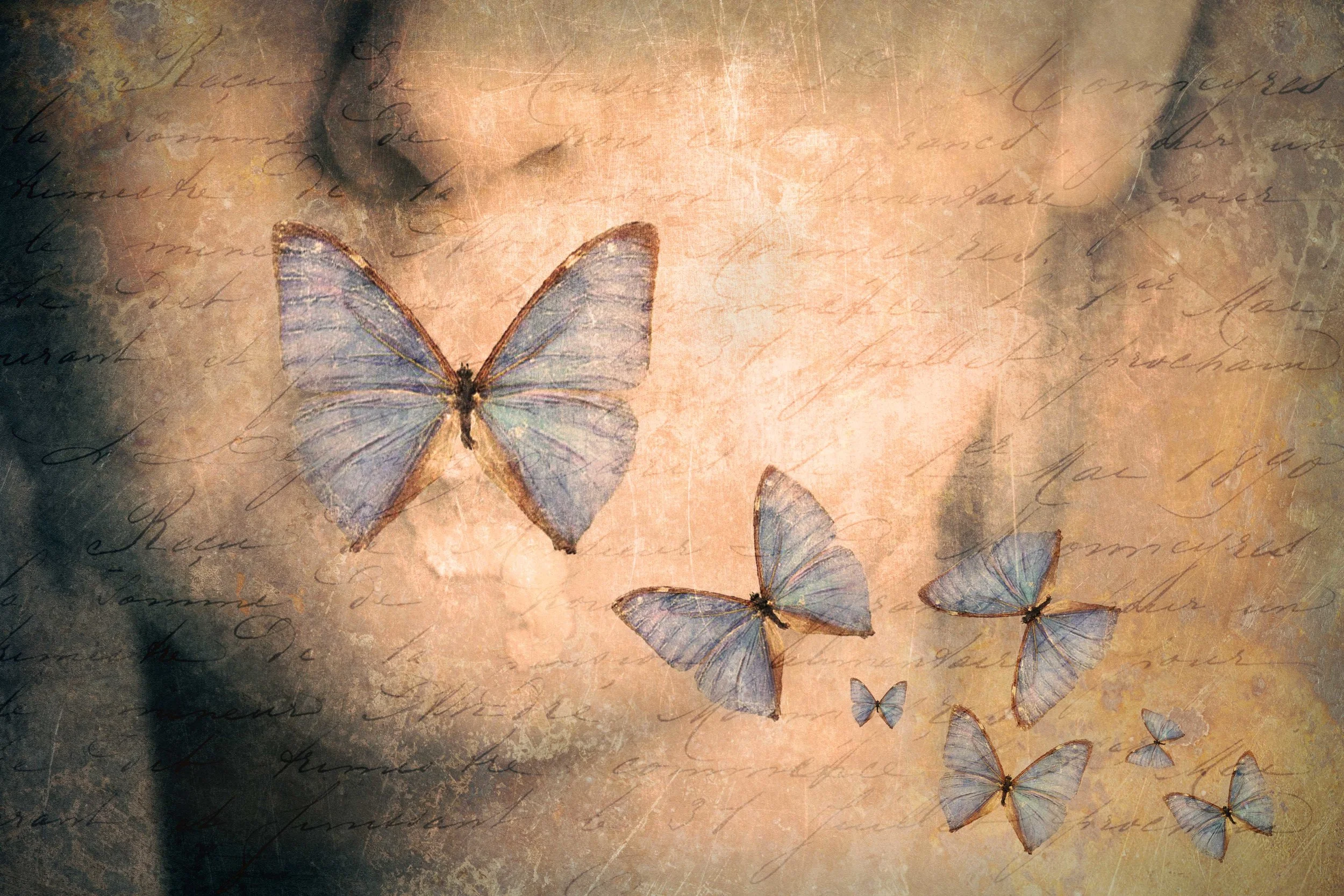 Photo: Secrets