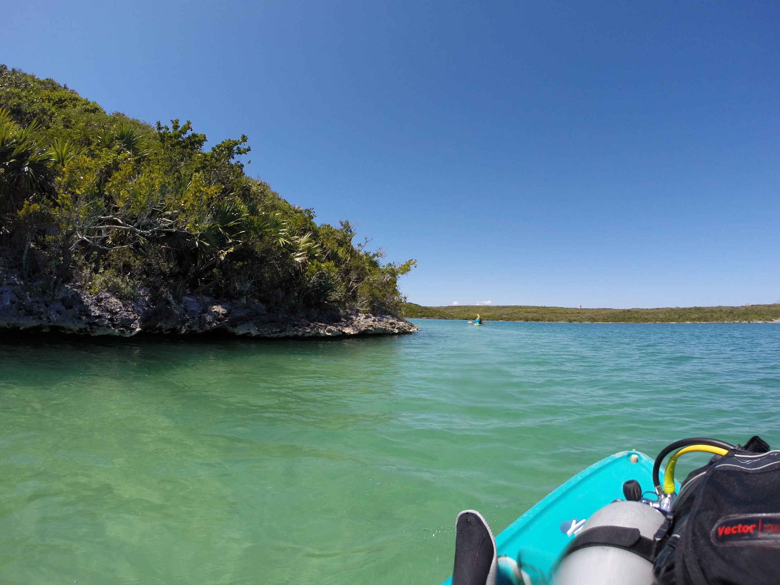  Heading into the field to look for seahorses    