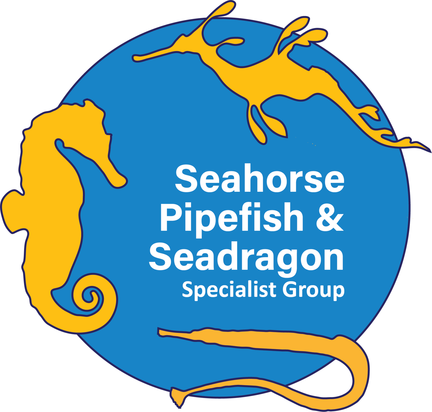 IUCN Seahorse, Pipefish & Seadragon