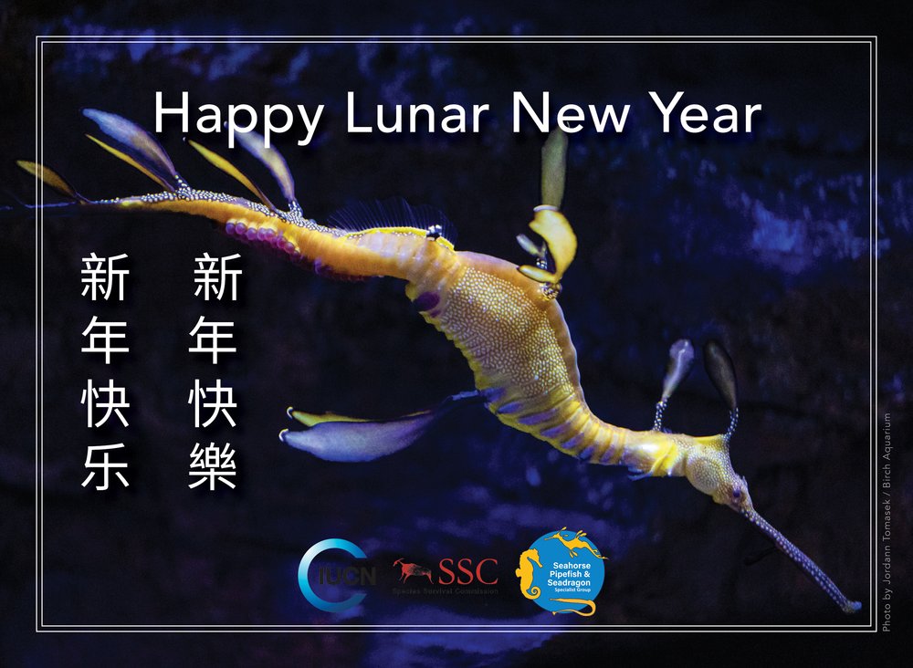 Happy Lunar New Year from the IUCN Seahorse Pipefish and Seadragon