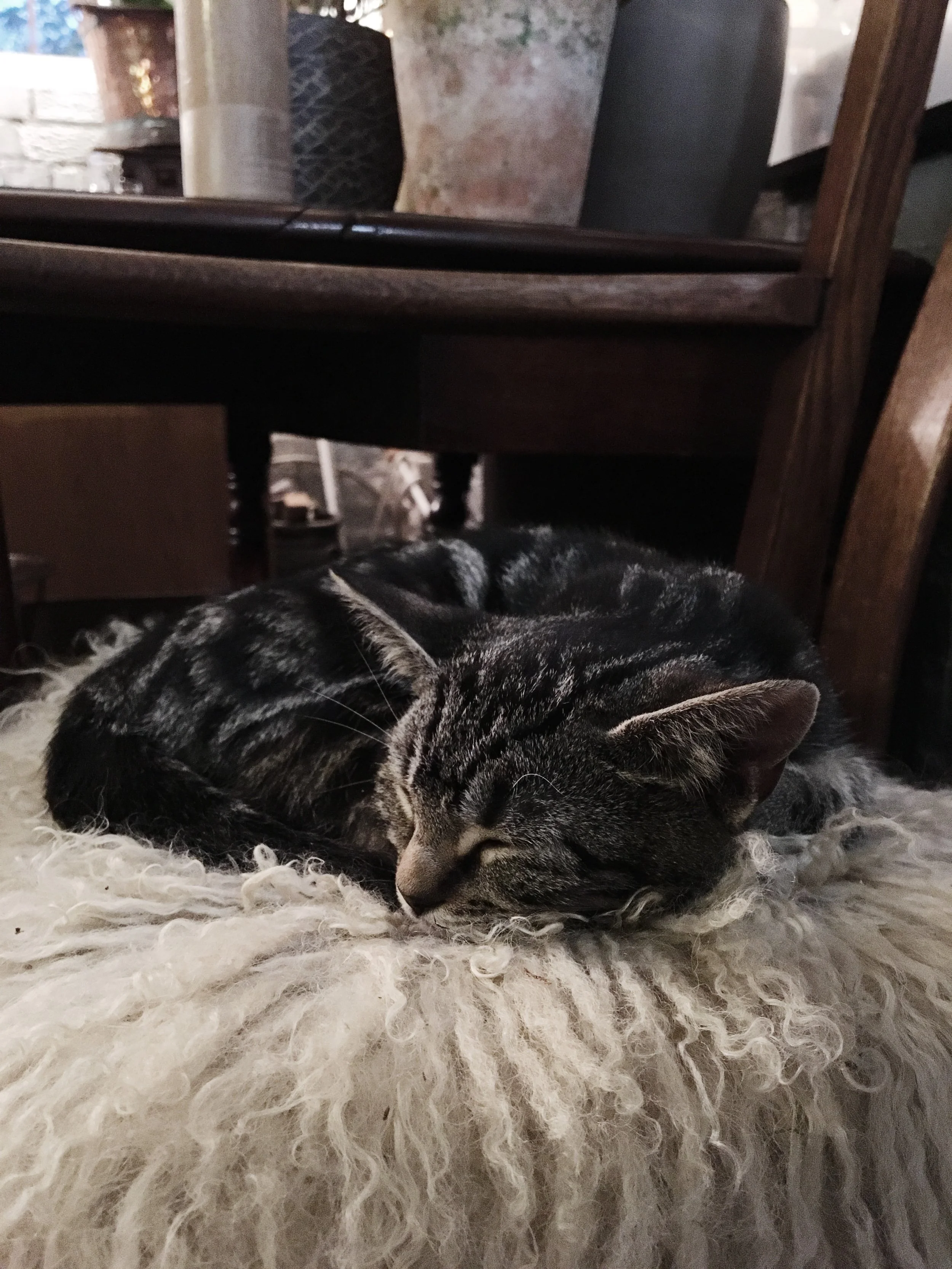 One of two of The Nunhead Gardeners cutest (and cheekiest) employees, Basil / Rosemary 