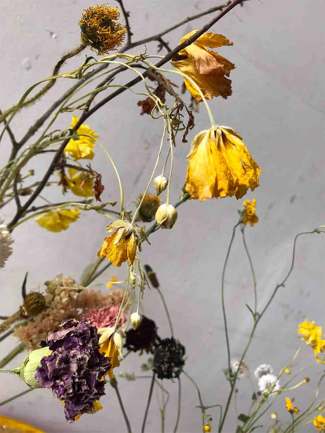 Gorgeous Dried Flowers Vase Arrangement Workshop