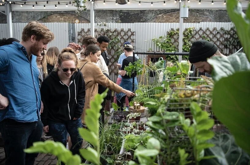 Plant lovers listen up: Green Rooms Market is back