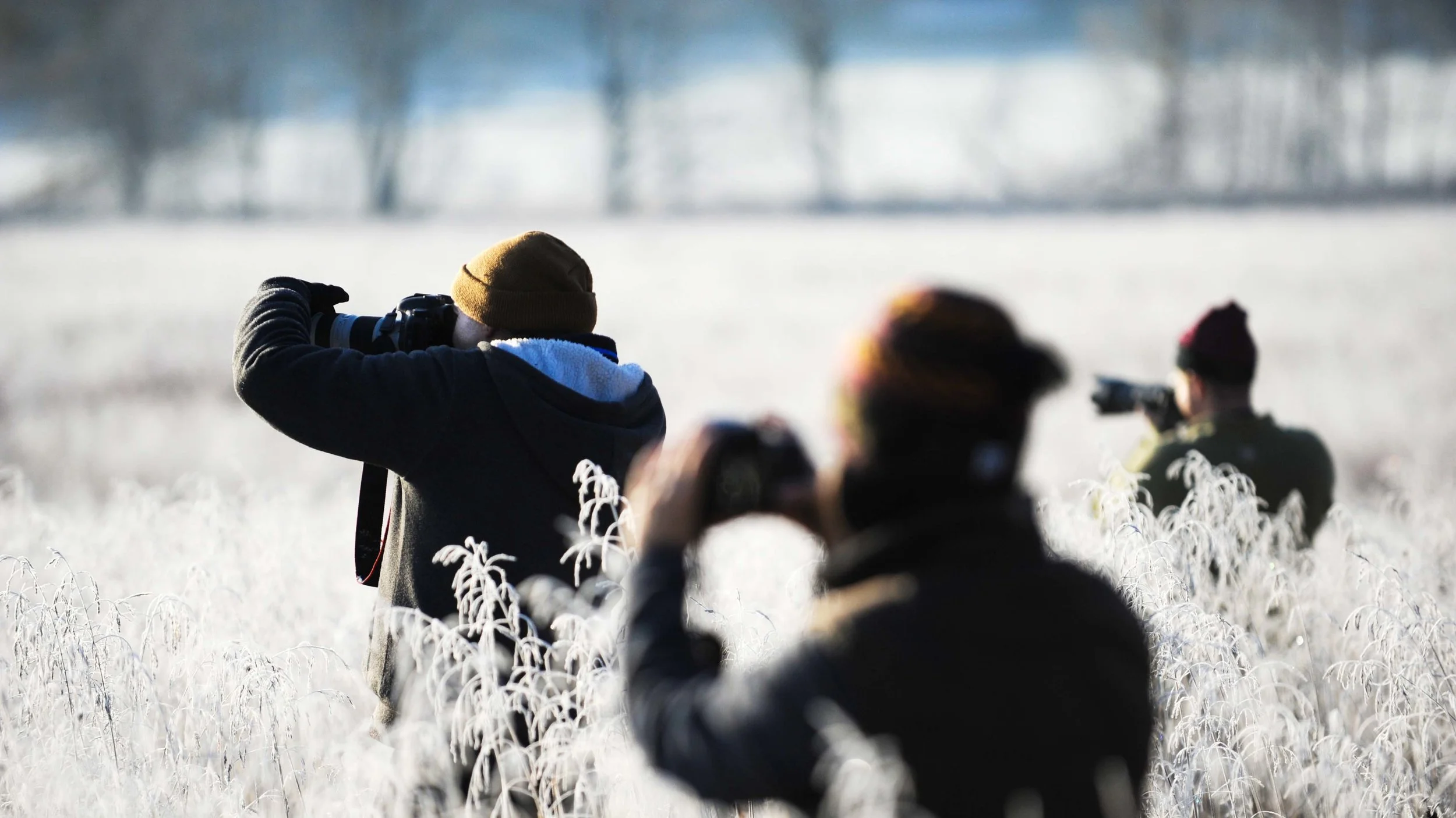 photography blue.jpg