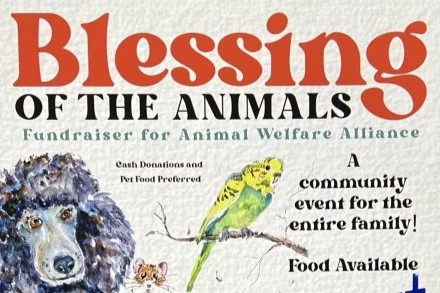 Blessing of the Animals