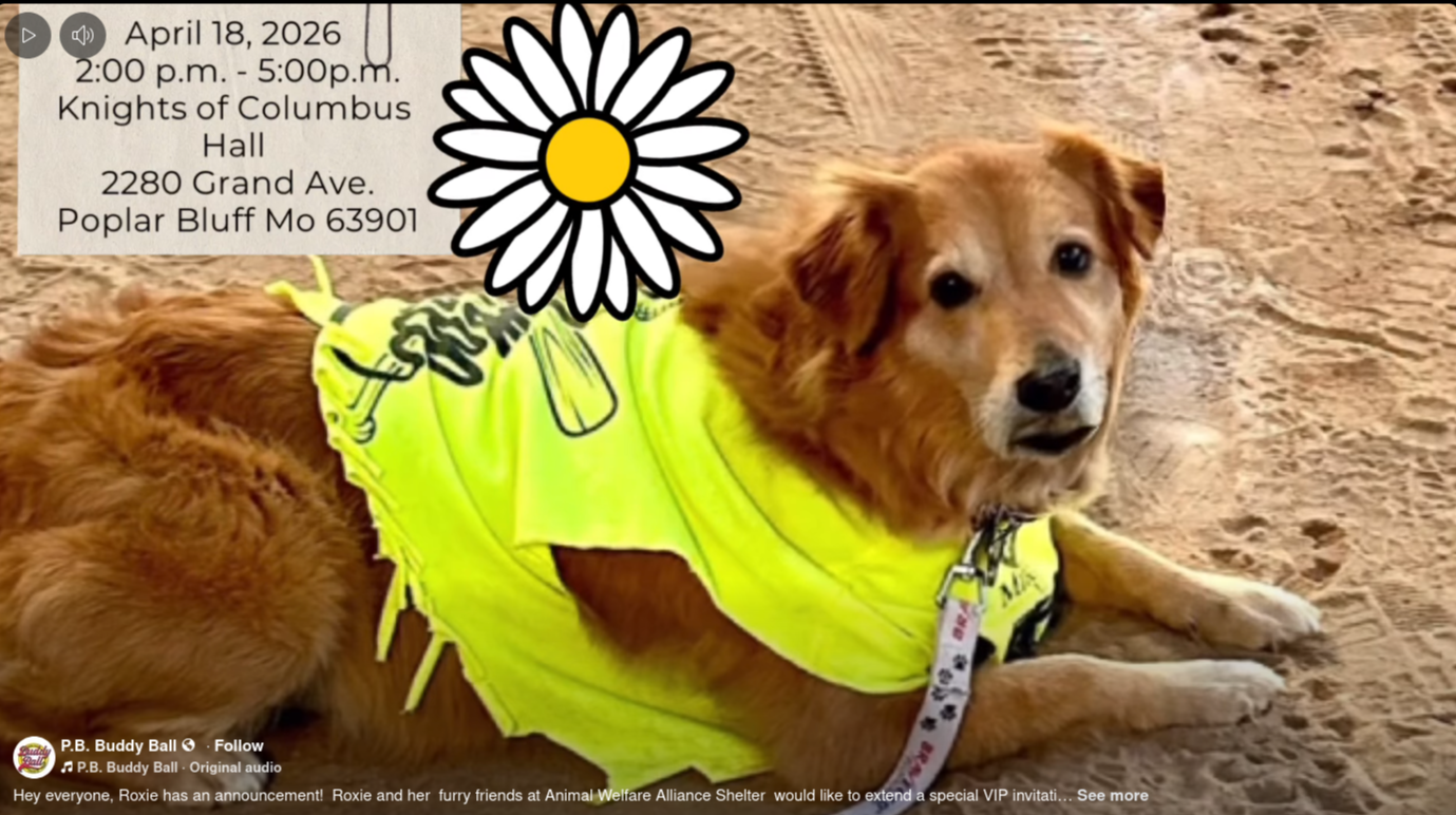 Buddy Ball's annual Spring Fling Dance