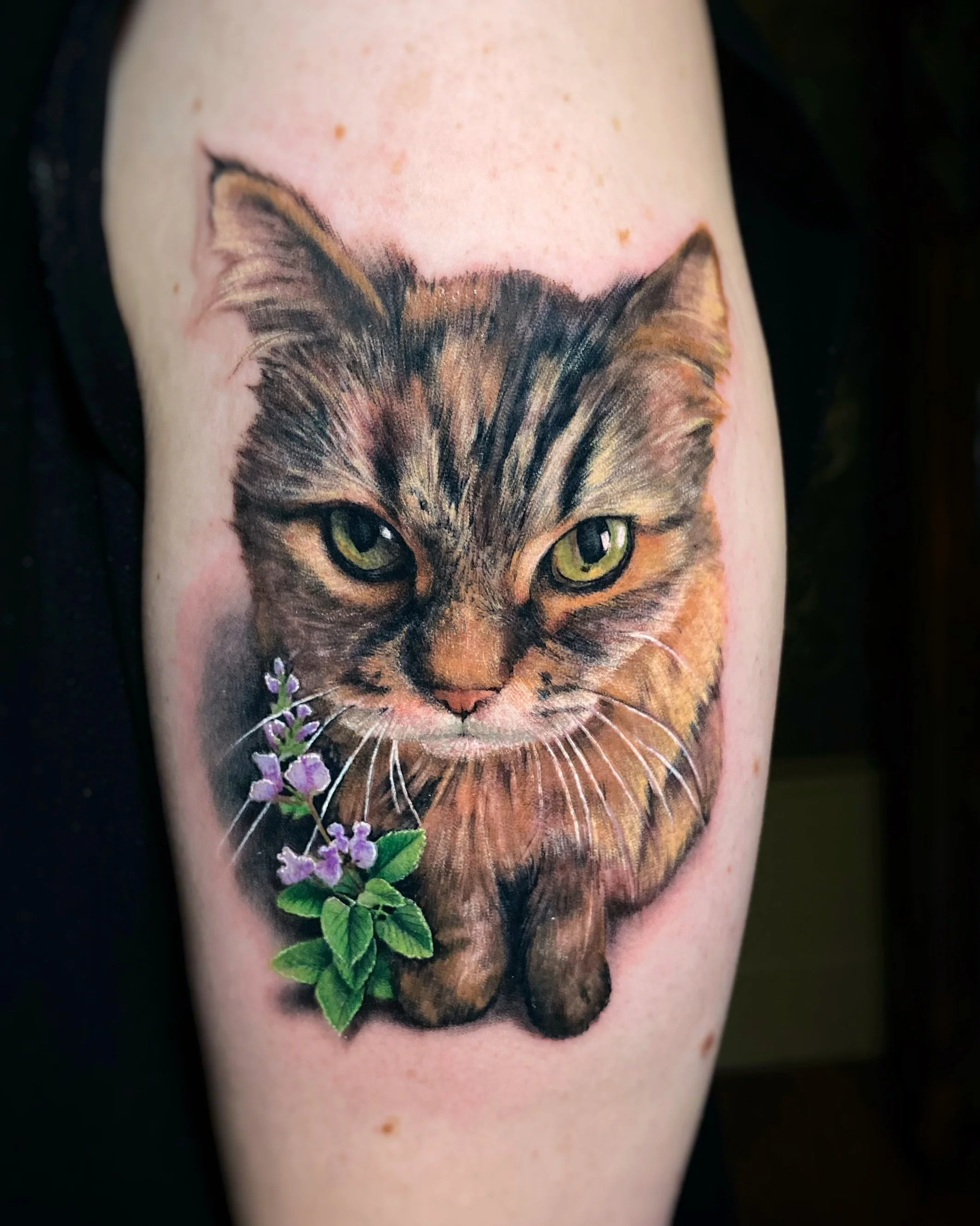 cat-portait-tattoo-adrianahallow.JPG