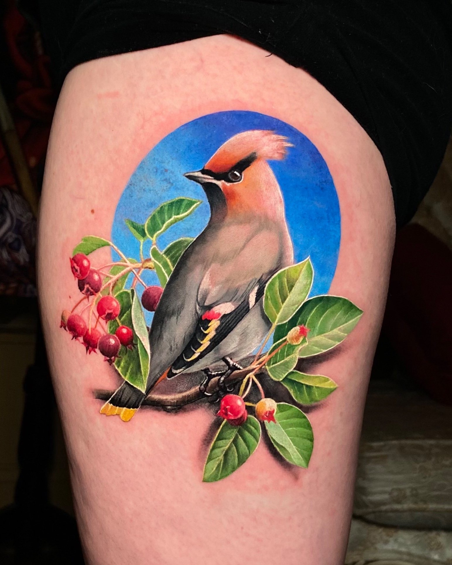 kirsten makes tattoos  Healed Japanese waxwings and a fresh lil bb