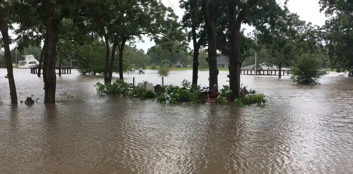 A scene from the remnants of Hurricane Harvey - in my dad's yard! 