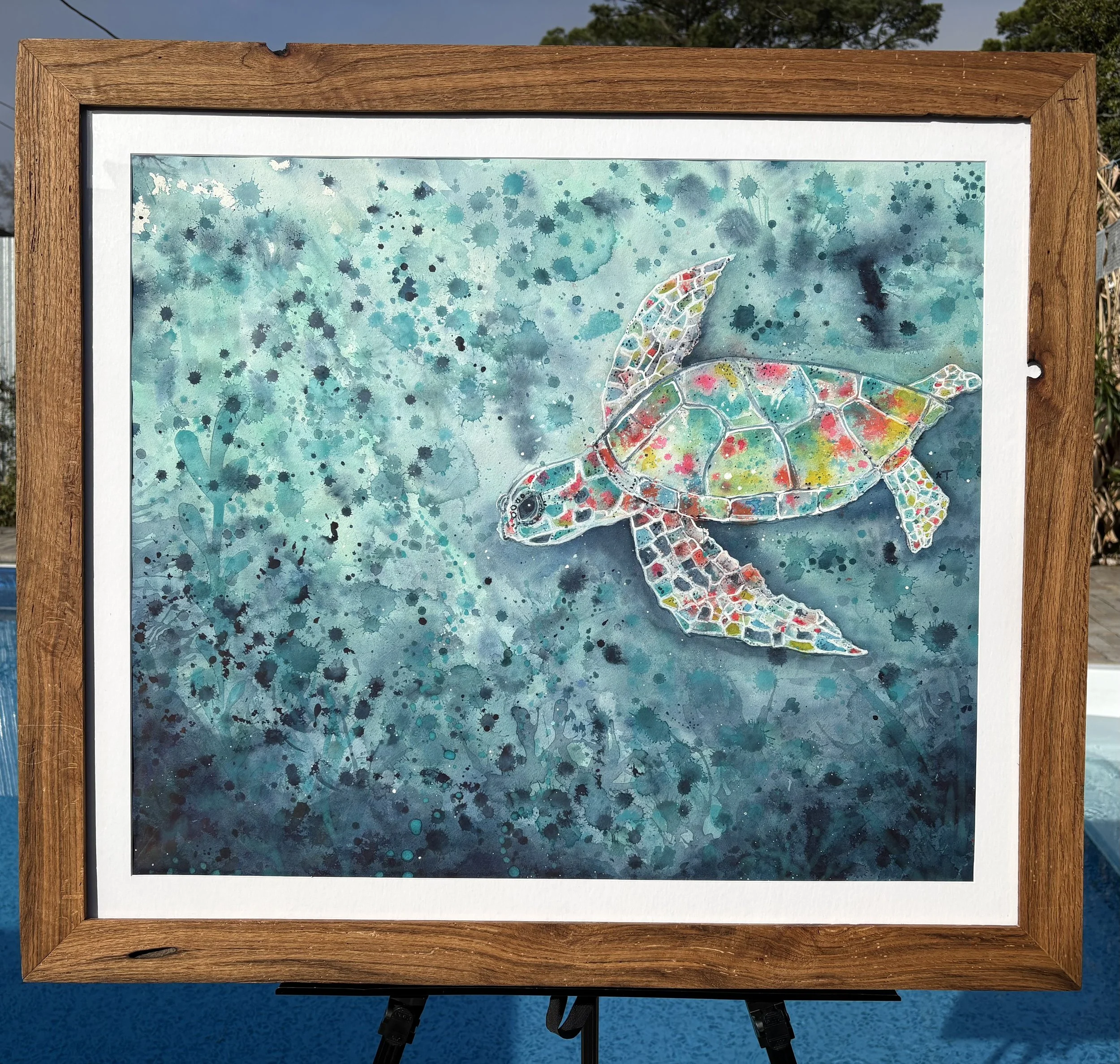 IMG_1250 - Terri Toler.jpeg