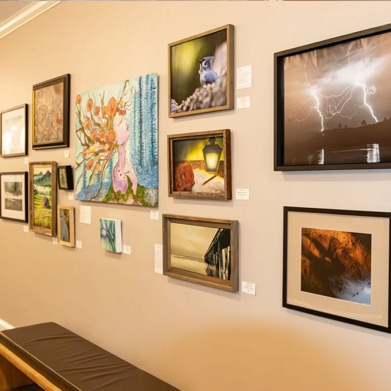Take a trip down to the @rhcitycenter to see the @artsonthecoastaoc Poetic show, hanging until September

Photo by @photospoon_nan