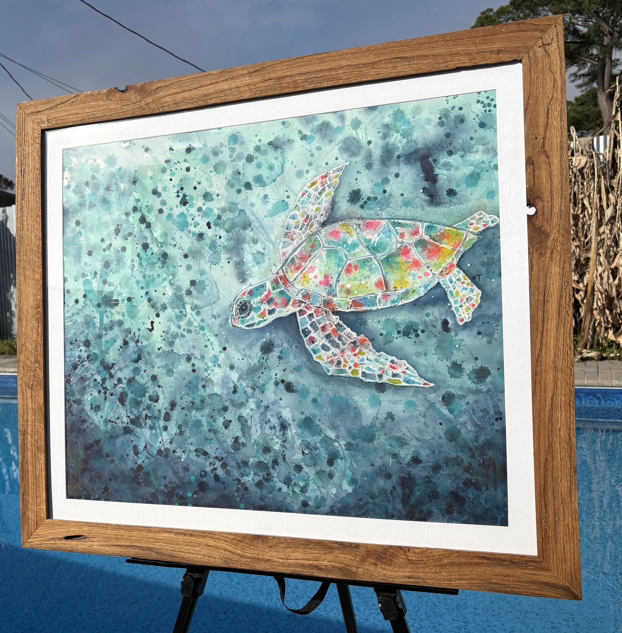 IMG_1252 - Terri Toler.jpeg