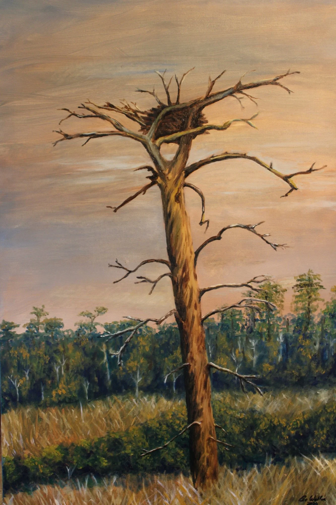 Copy of Empty Nest -Bo Walker (5) - Bo walker.JPG