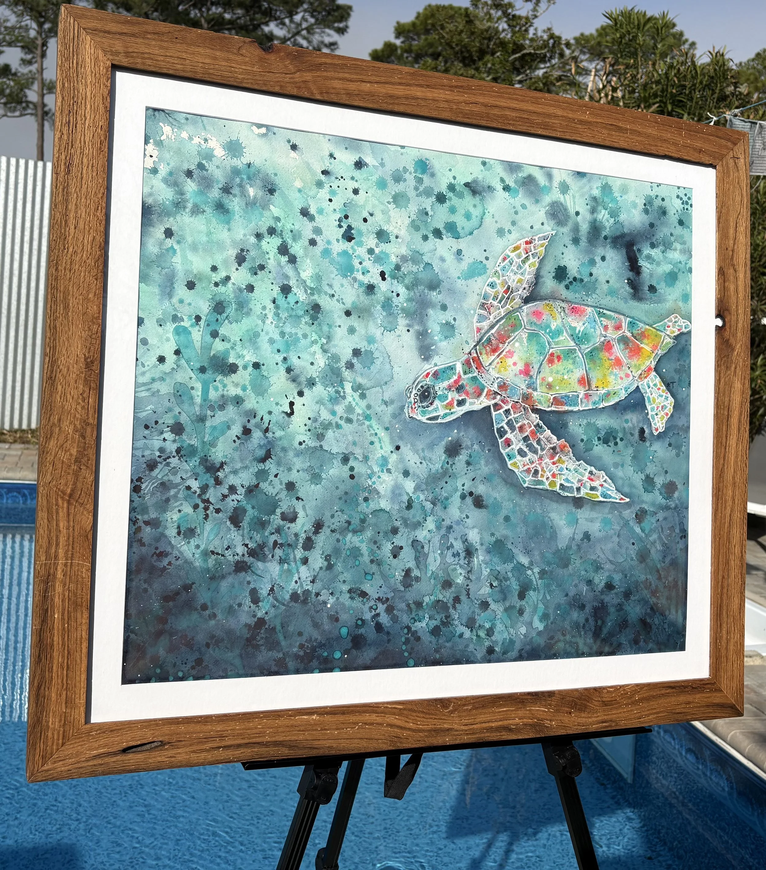 IMG_1251 - Terri Toler.jpeg