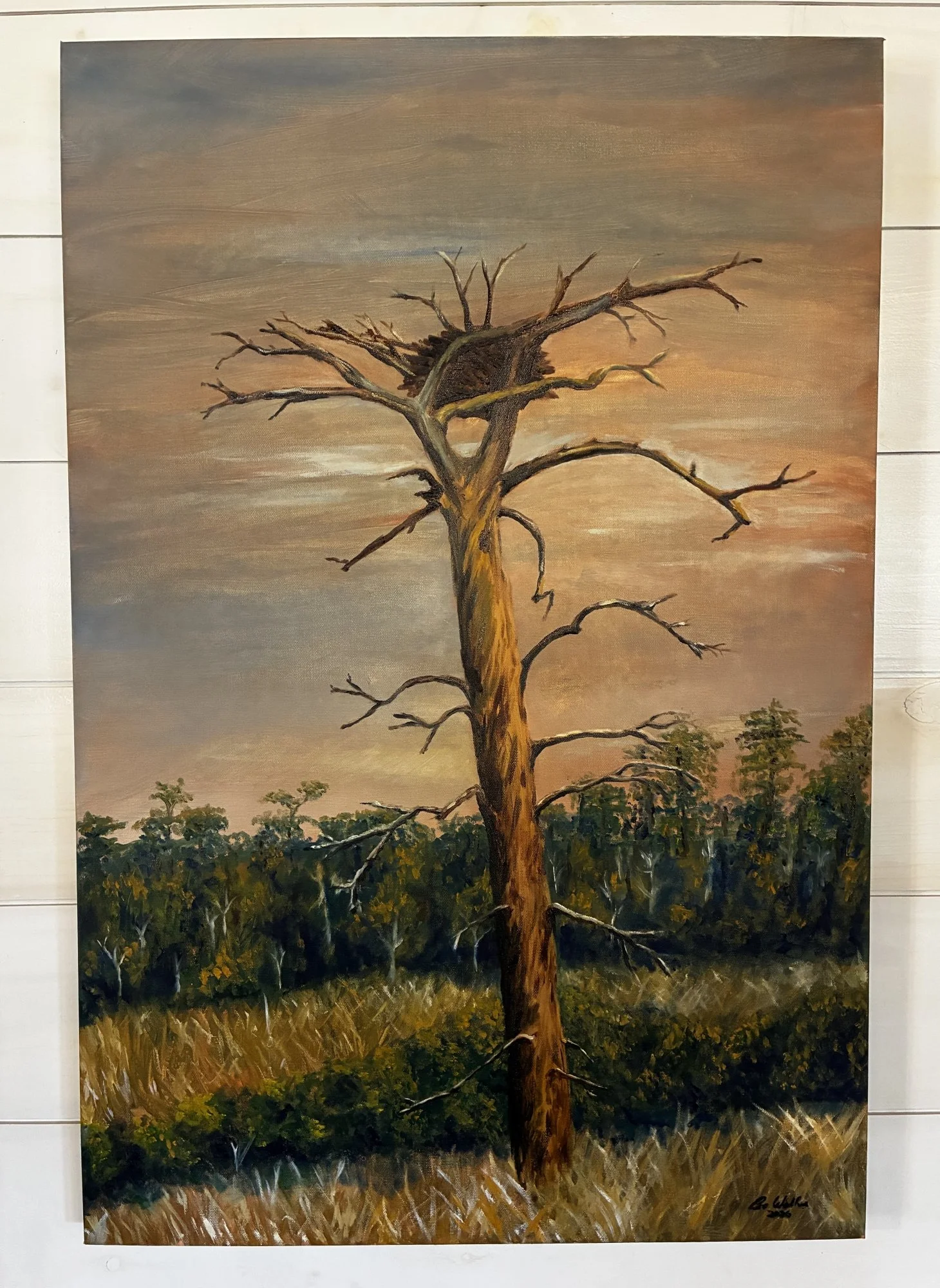 Copy of Empty Nest -Bo Walker (2) - Bo walker.jpg