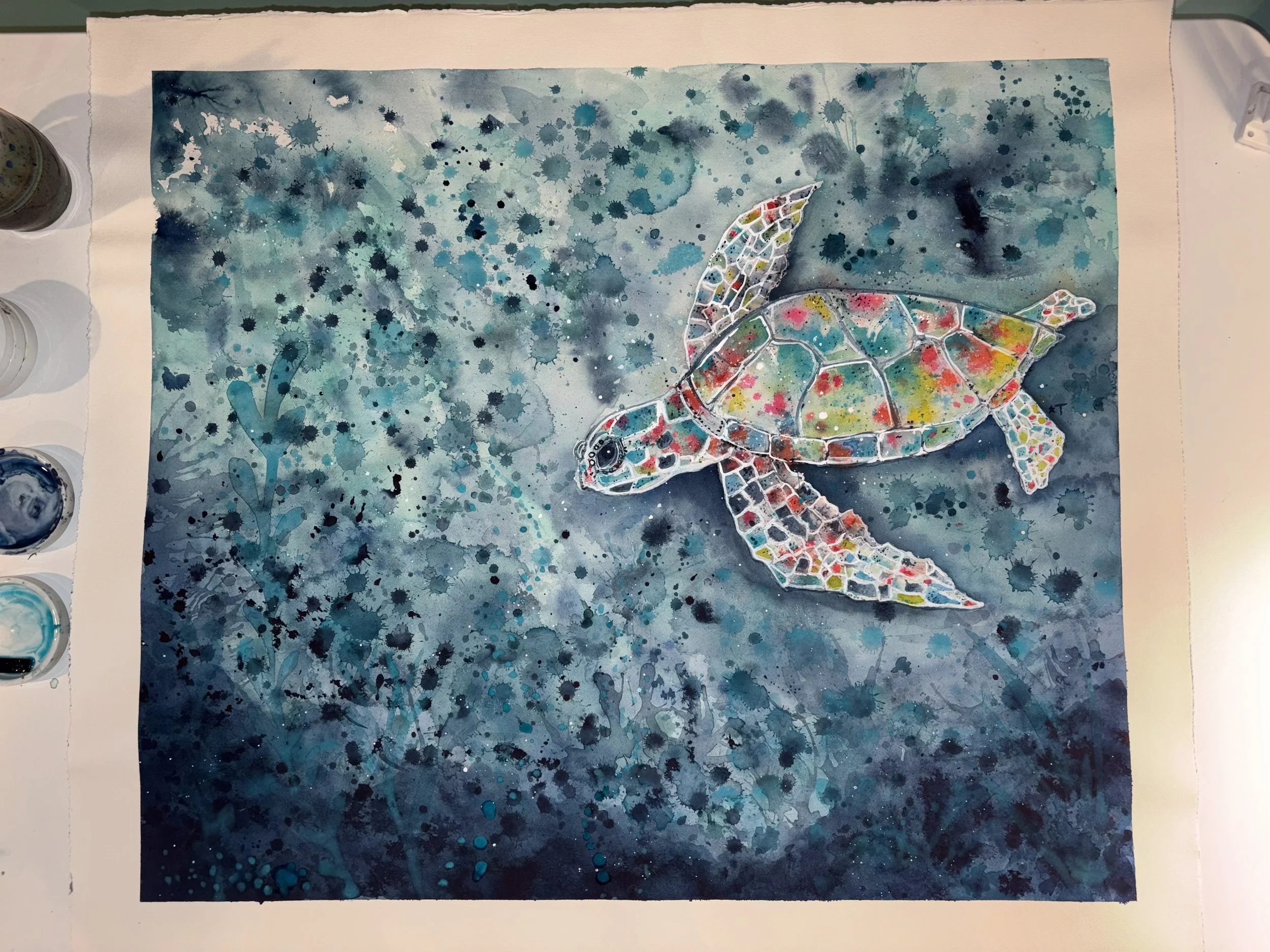 Copy of IMG_8114 - Terri Toler.jpeg