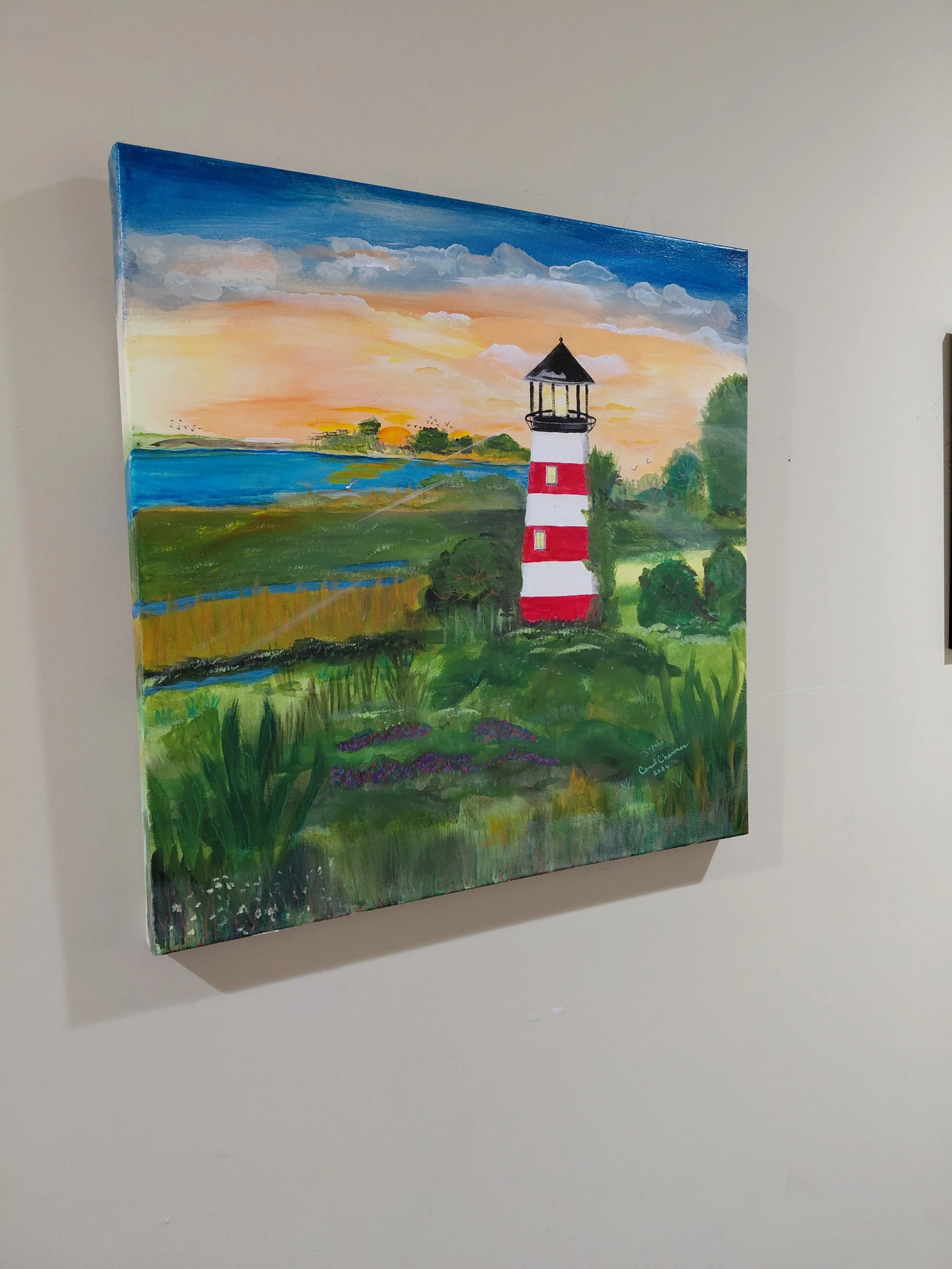 Copy of 20260215_135857 - carolchanner.jpg