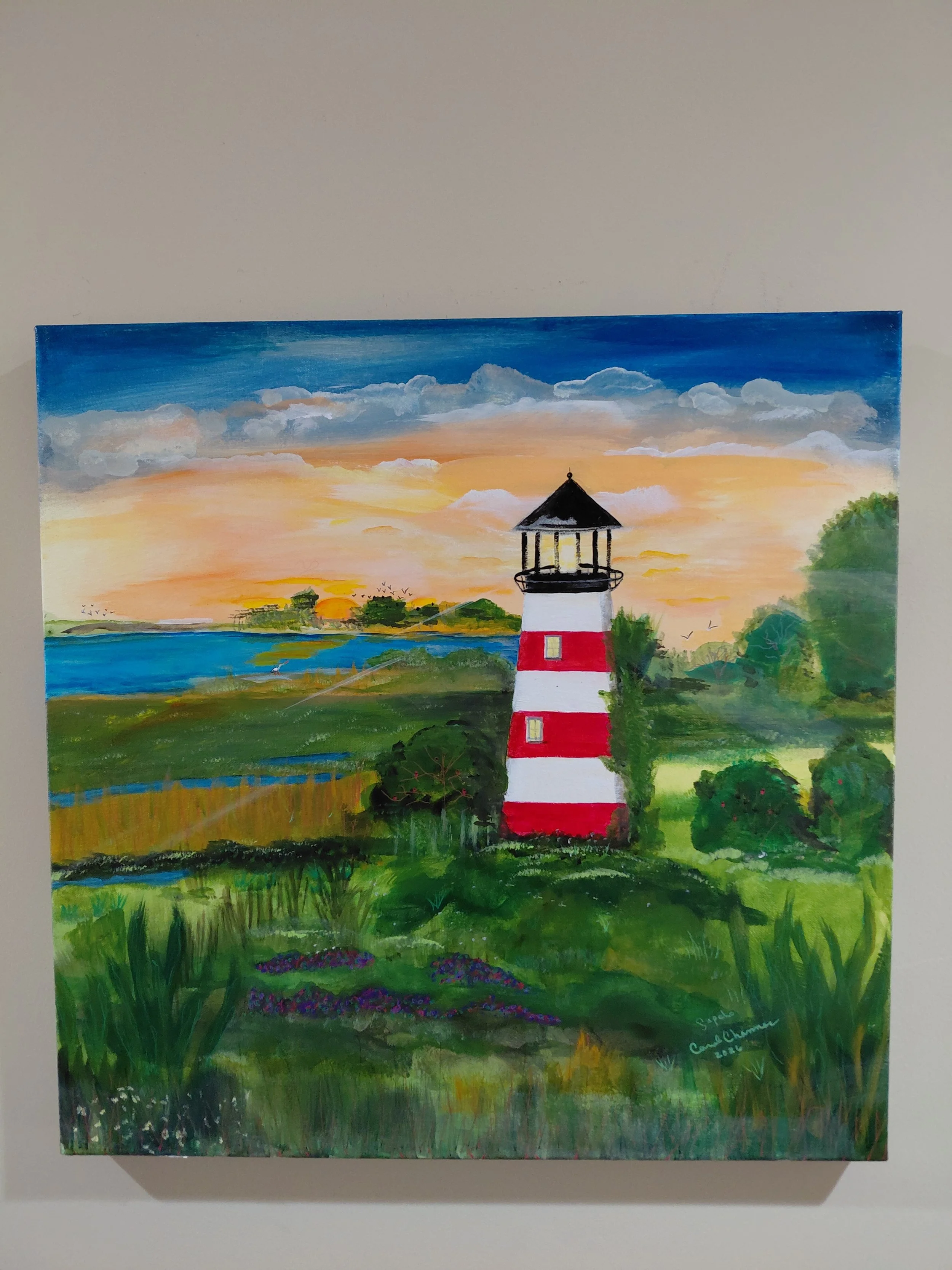 Copy of 20260215_135920 - carolchanner.jpg