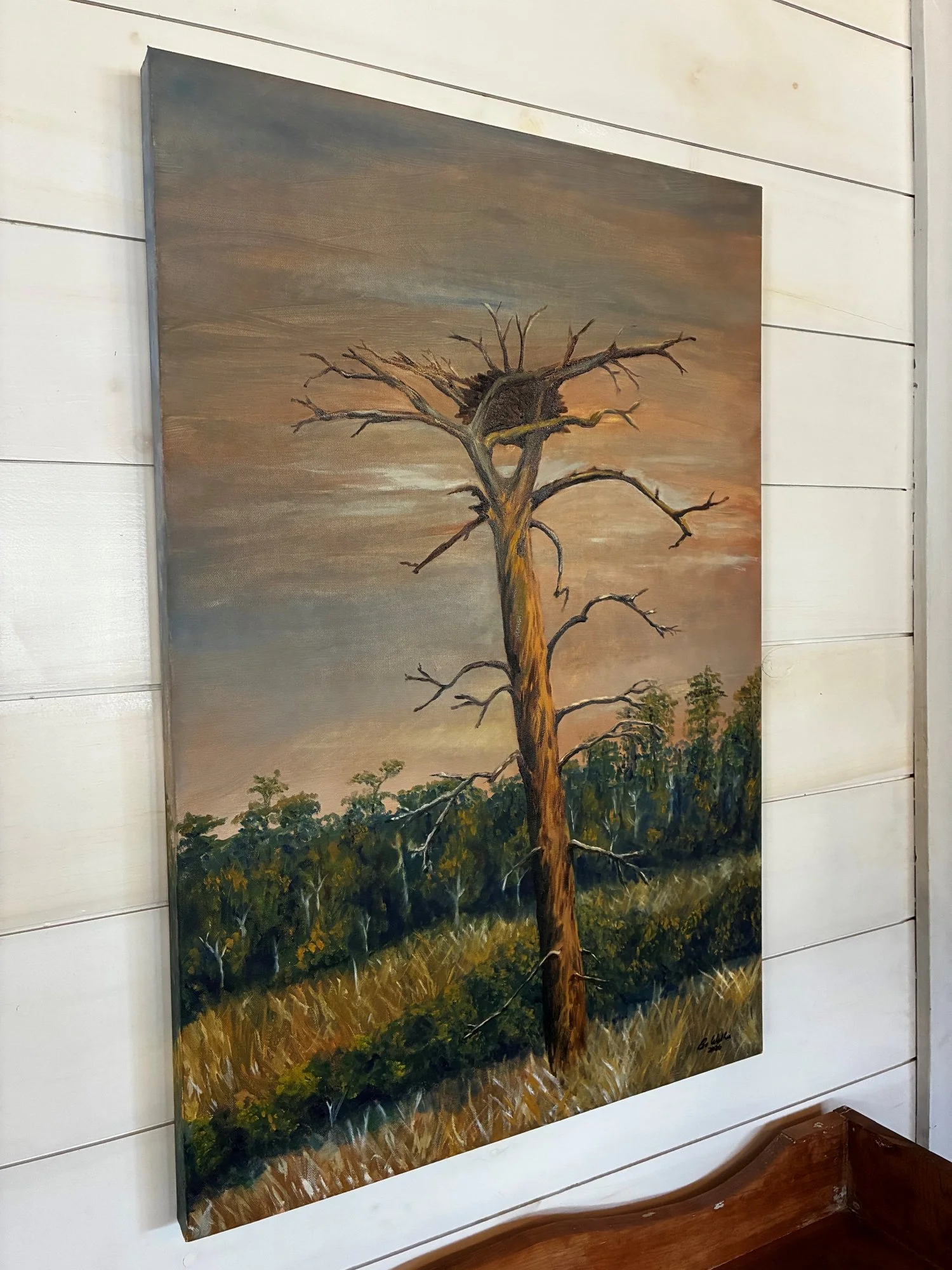 Copy of Empty Nest -Bo Walker (4) - Bo walker.jpg