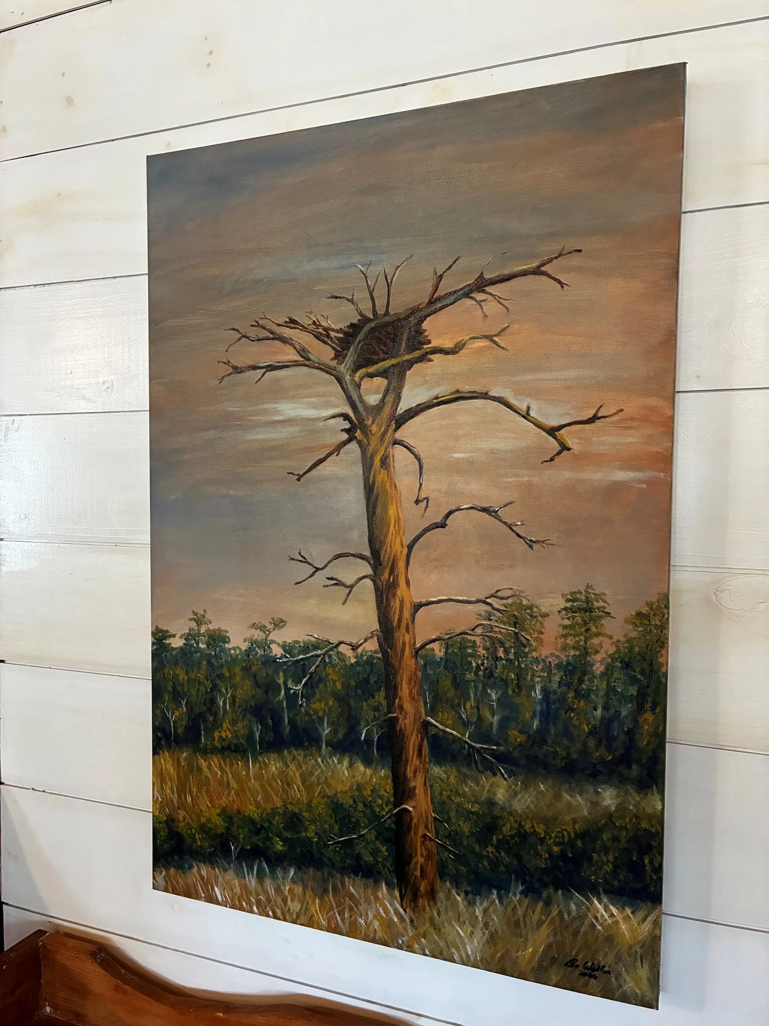 Copy of Empty Nest -Bo Walker (3) - Bo walker.jpg