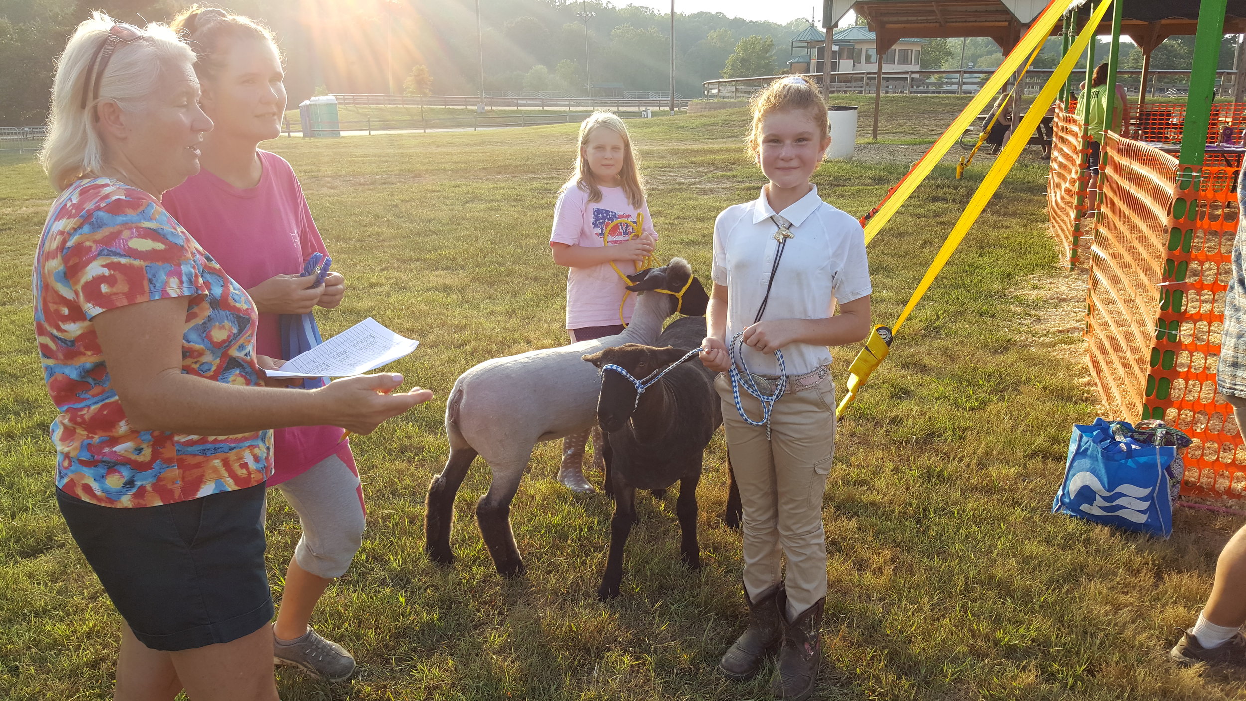4-H & Open Class Livestock Competitions