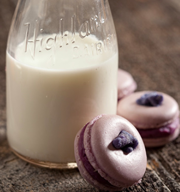 macarons and milk.jpg