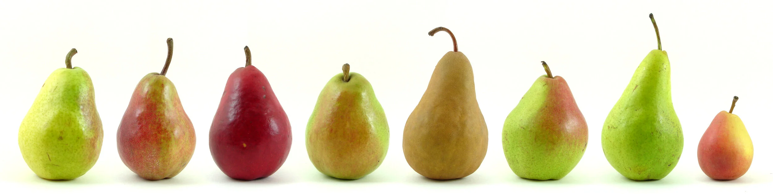 Dehydrated Pear Chips