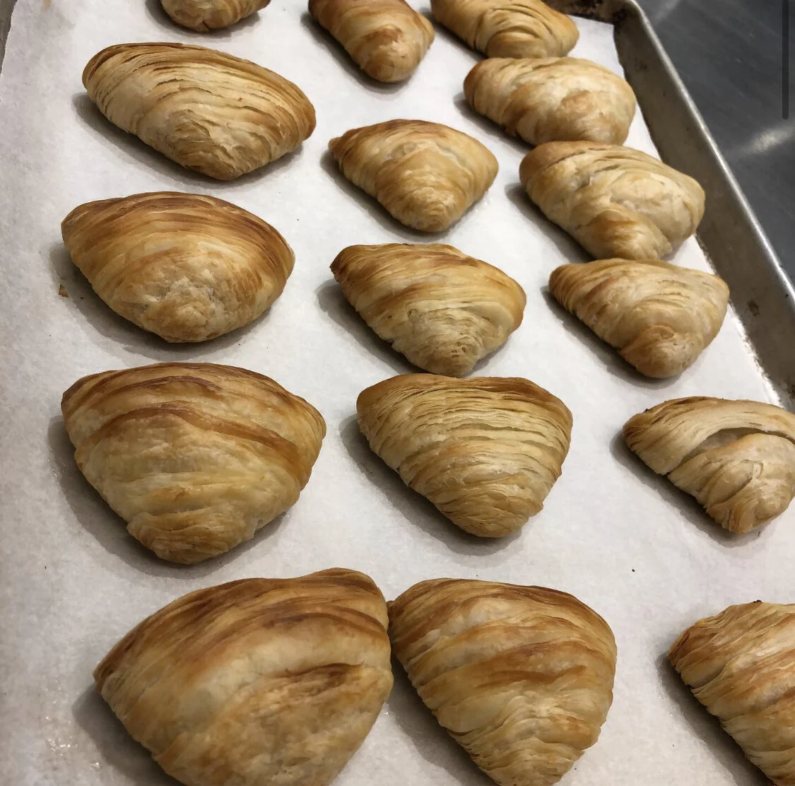 Savory Sfogliatelle Hors d'Oeuvres