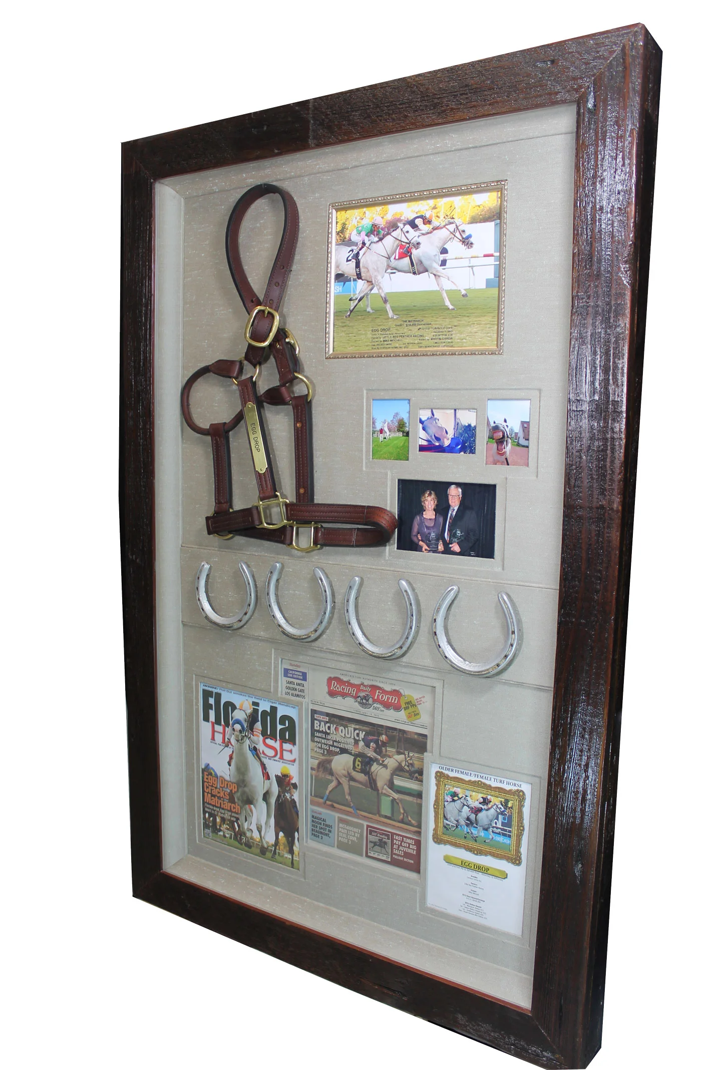 Racehorse-Memorabilia-Frame-Mar2015.jpg